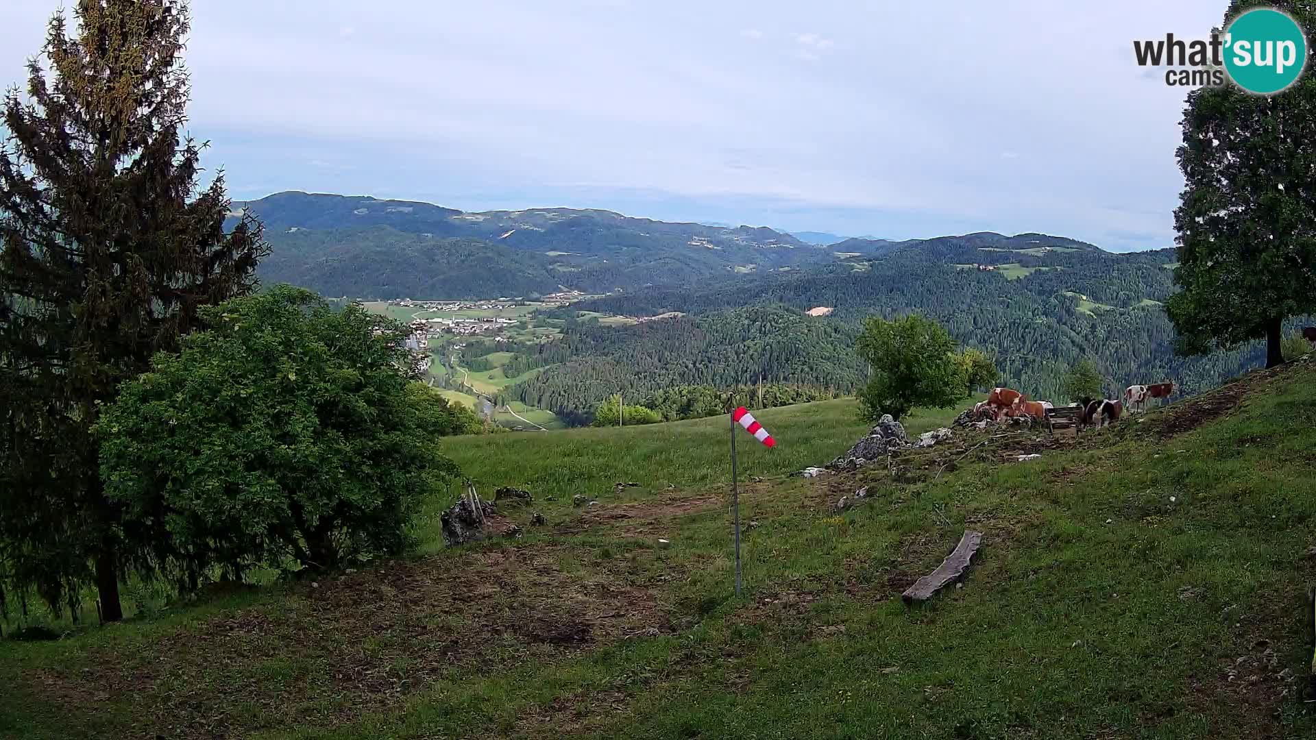 Slajka camera en vivo | Gorenja Vas | Eslovenia