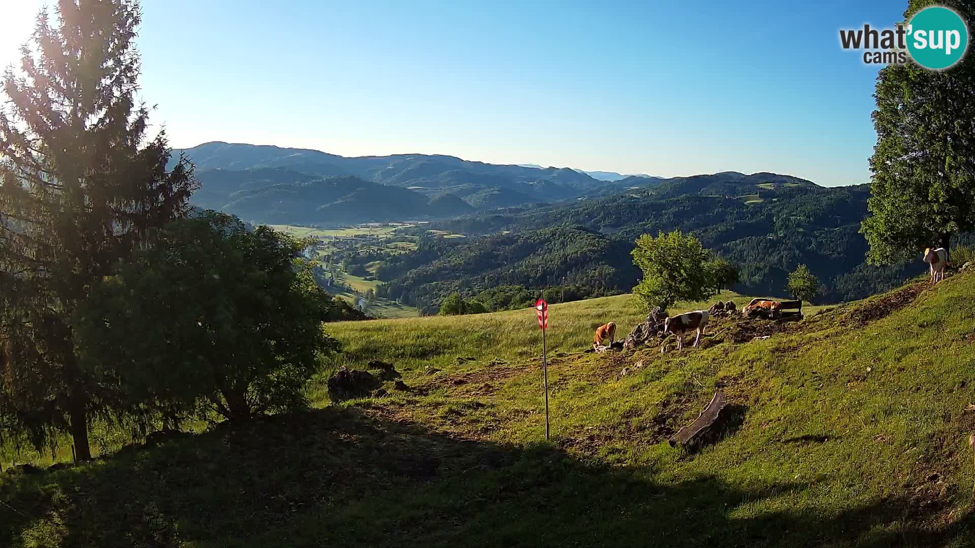Slajka webcam | Gorenja Vas | Slowenien