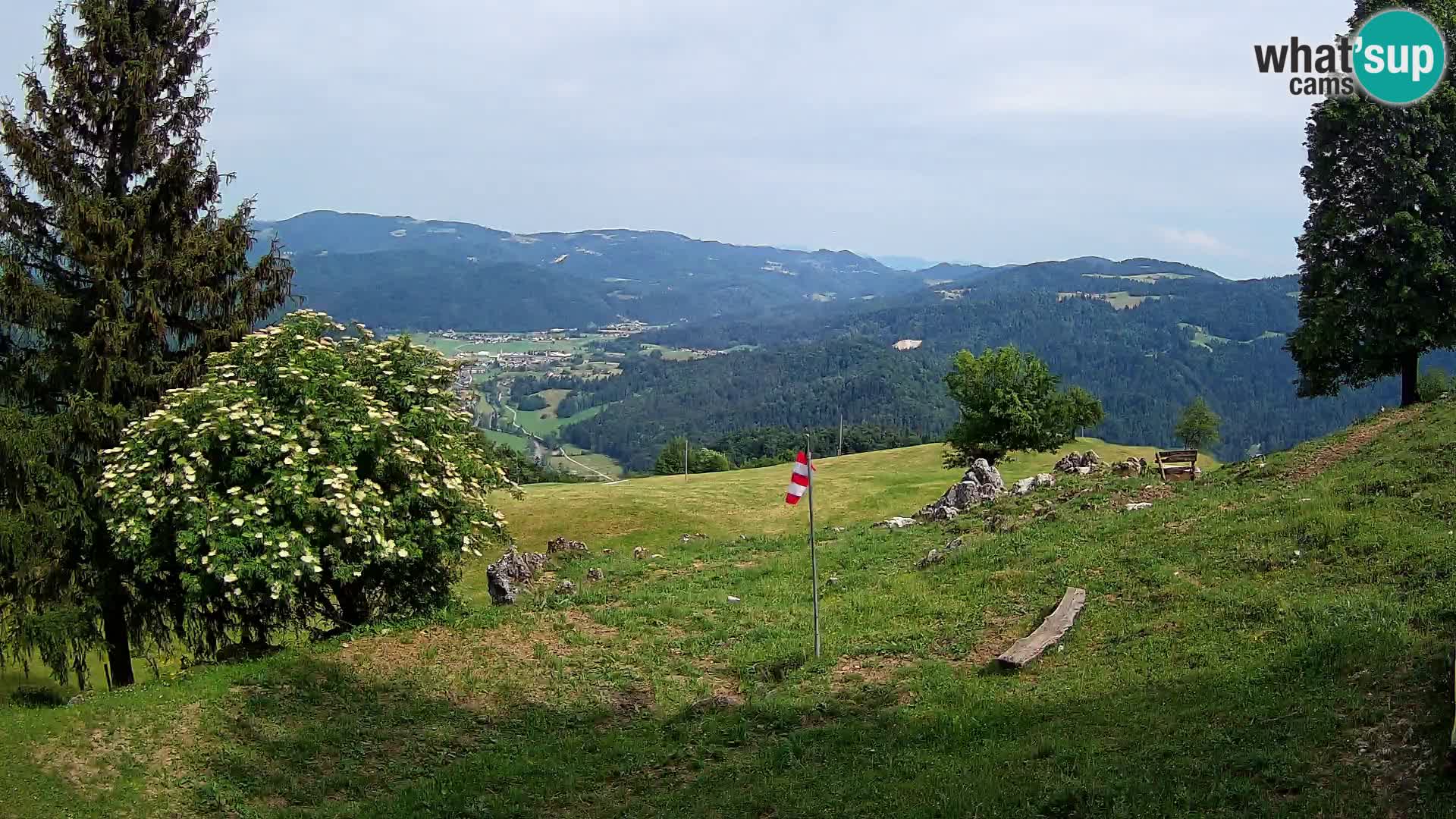 Slajka camera en vivo | Gorenja Vas | Eslovenia