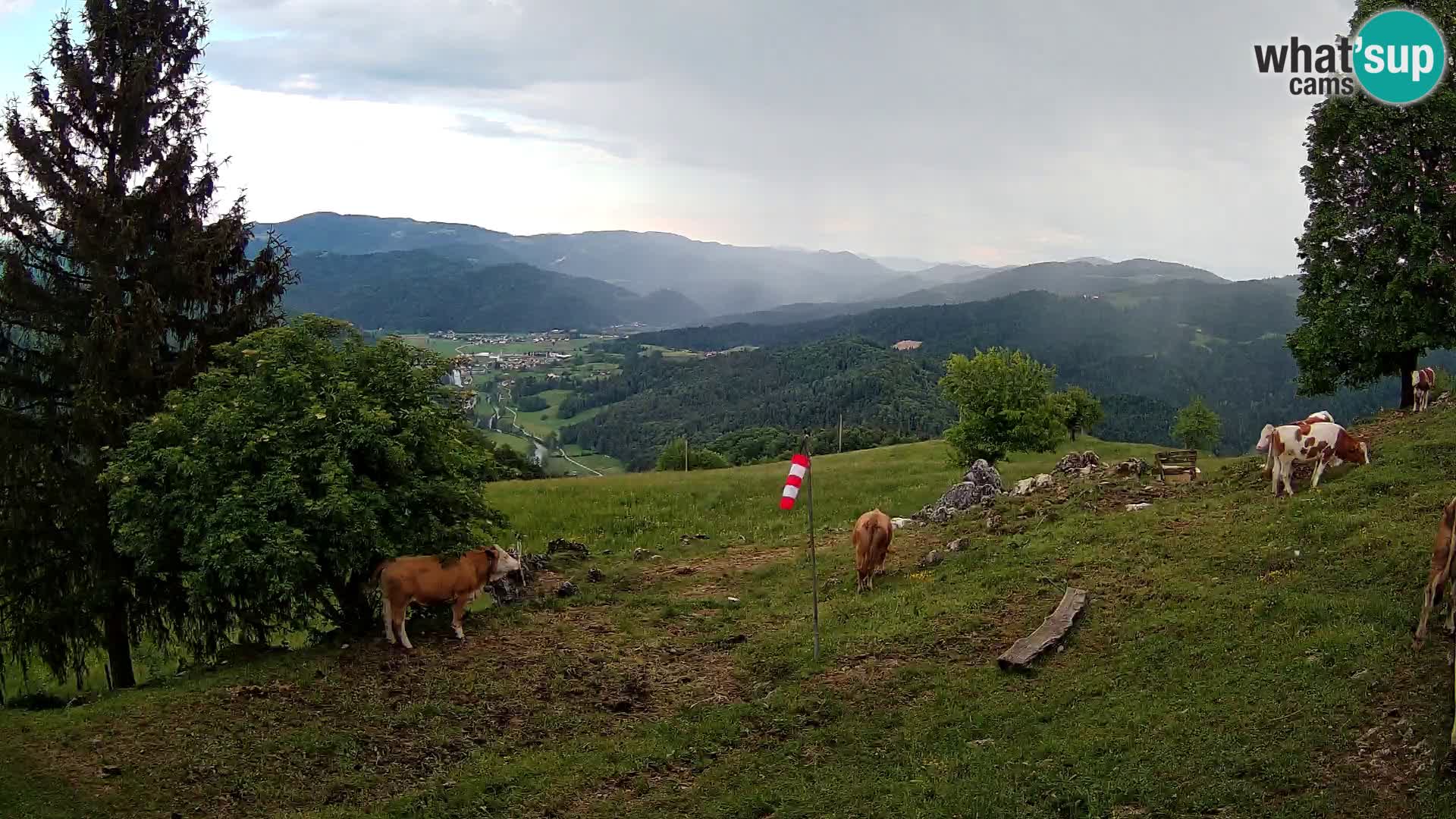 Slajka web kamera | Gorenja Vas | Slovenija