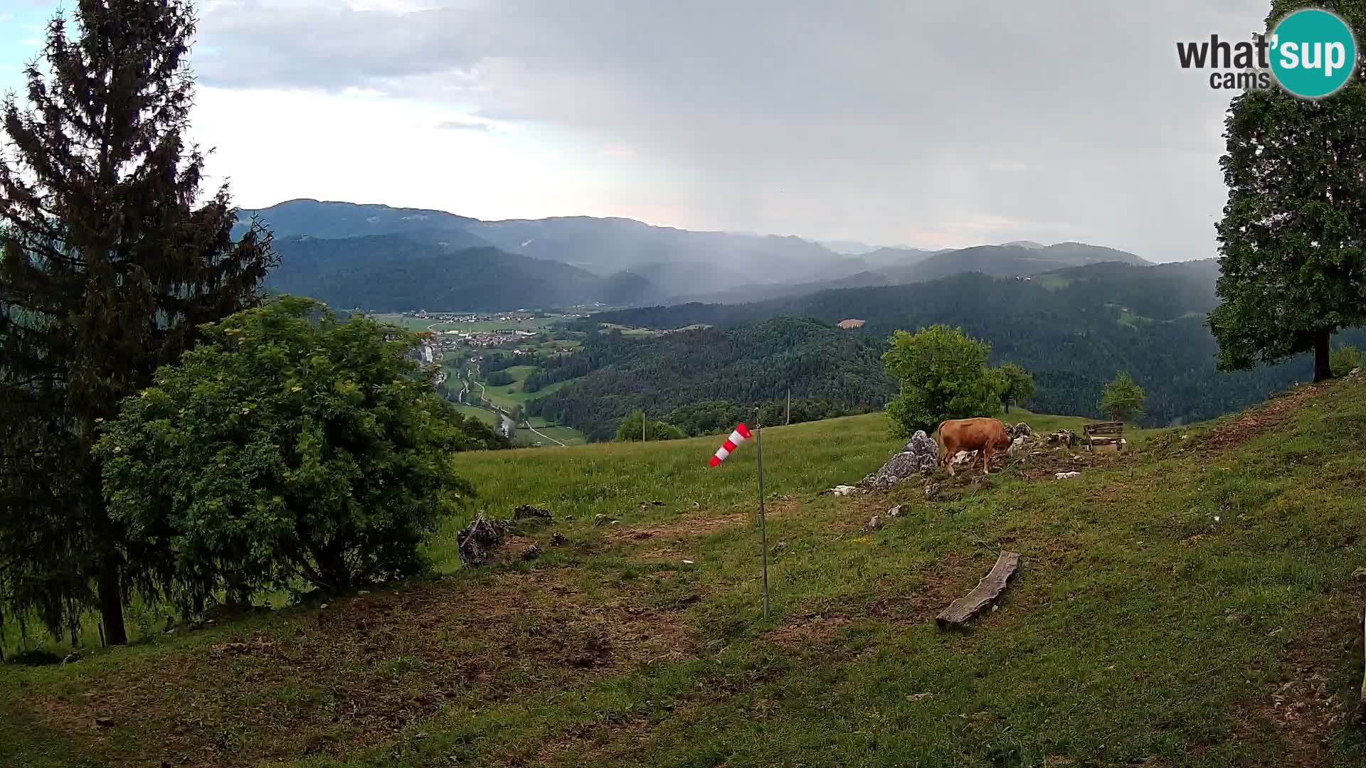 Slajka webam | Gorenja vas | Slovenia
