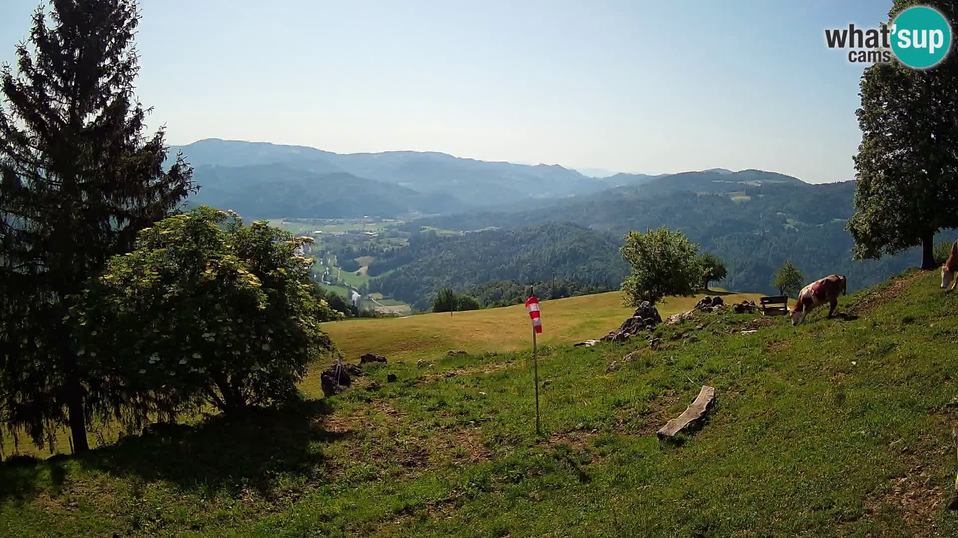 Slajka webam | Gorenja vas | Slovenia