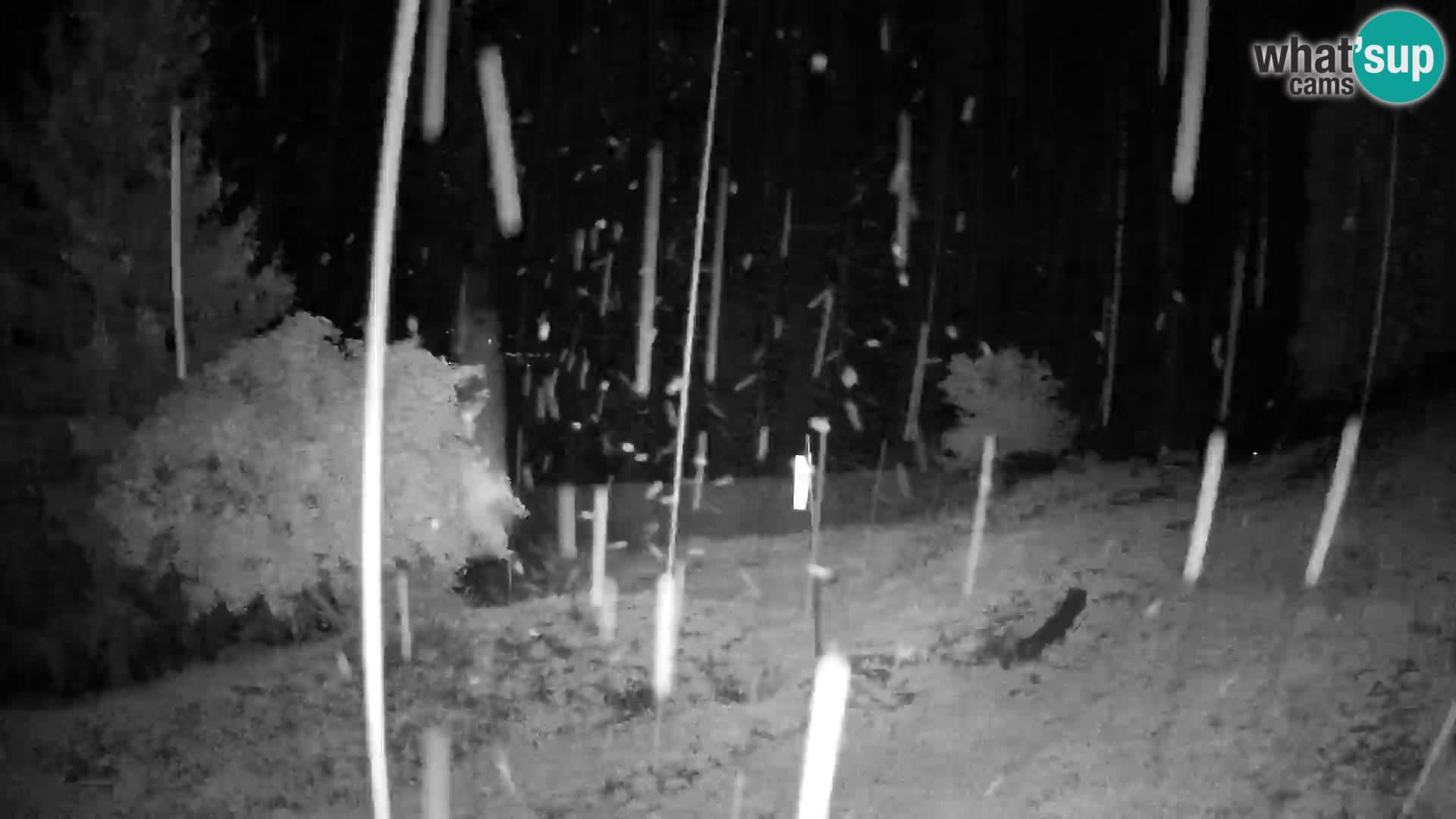 Slajka livecam | Gorenja Vas | Slovénie