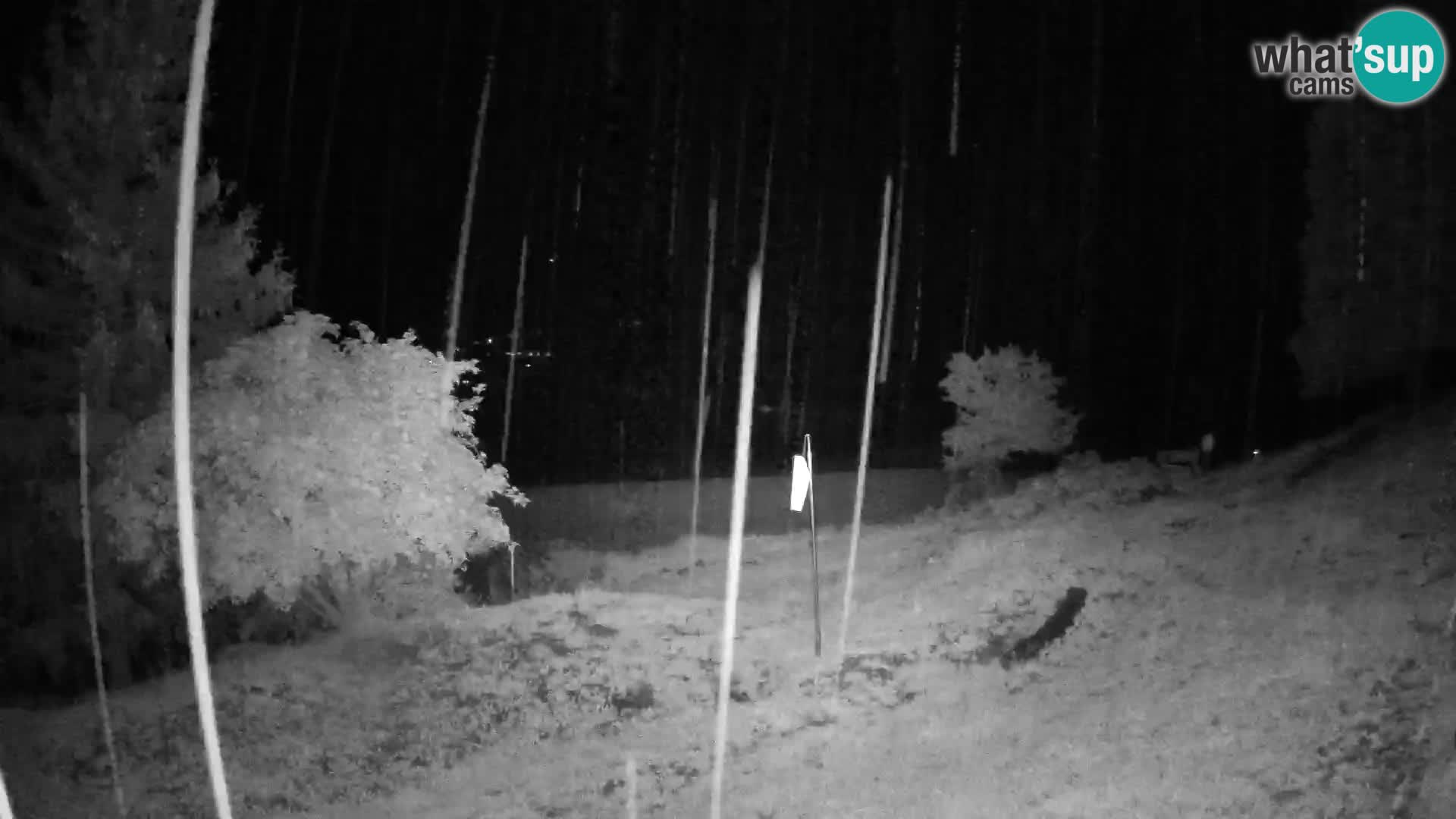 Slajka camera en vivo | Gorenja Vas | Eslovenia