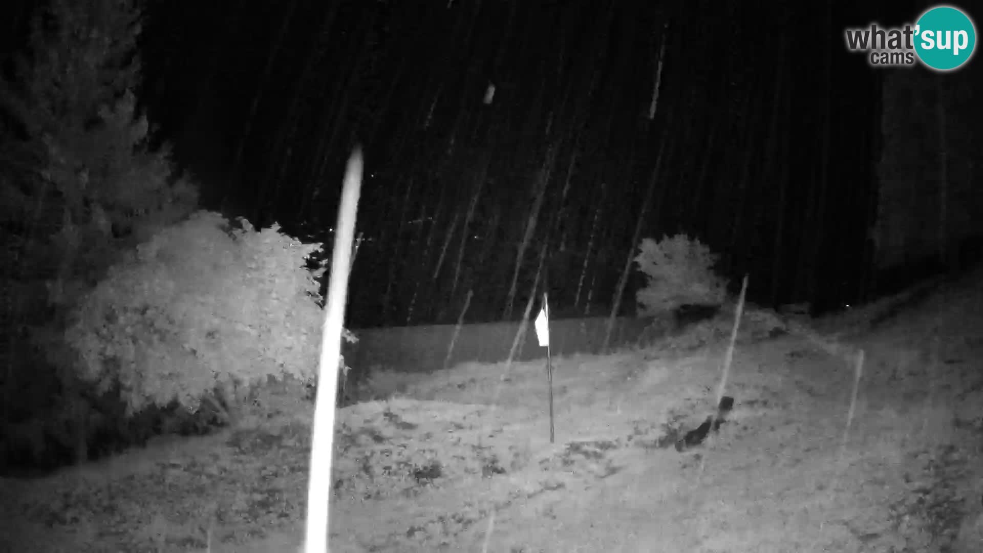 Slajka camera en vivo | Gorenja Vas | Eslovenia