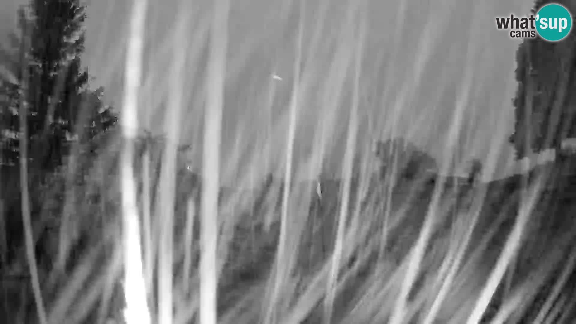 Slajka camera en vivo | Gorenja Vas | Eslovenia