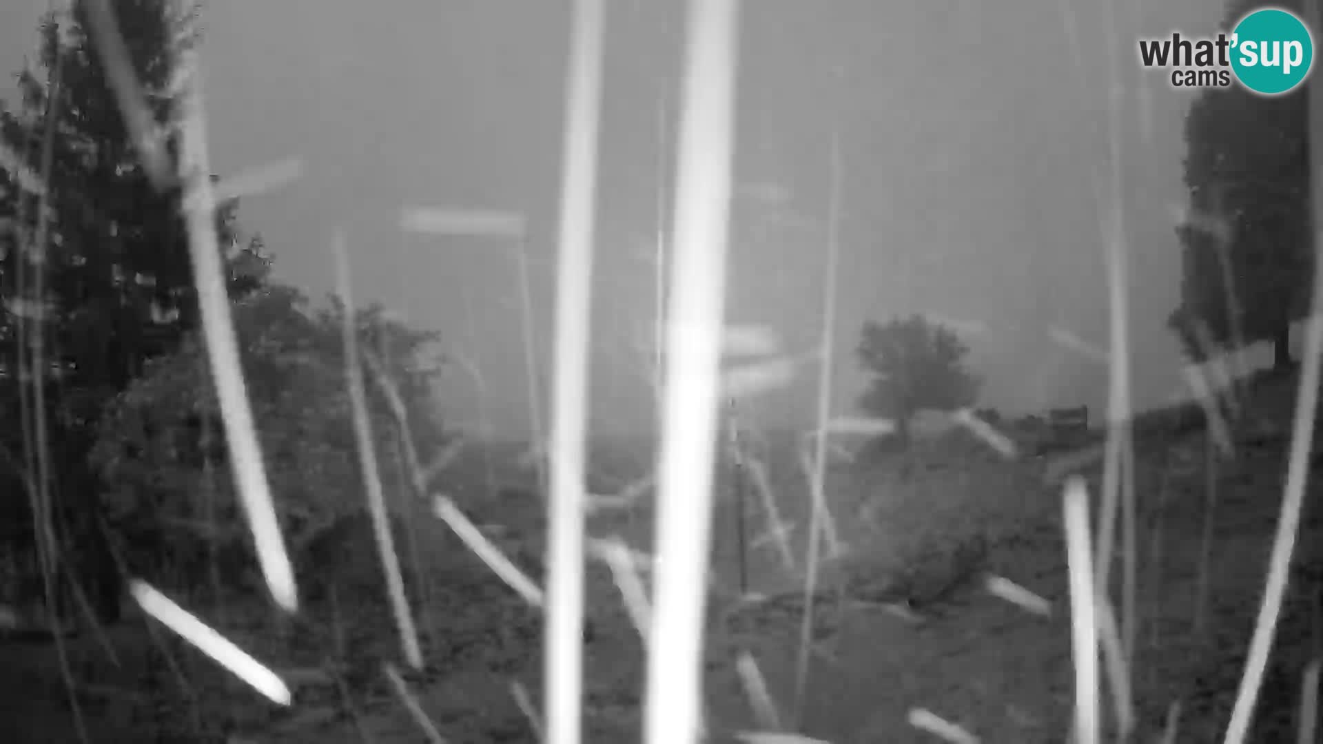 Slajka webcam | Gorenja Vas | Slowenien