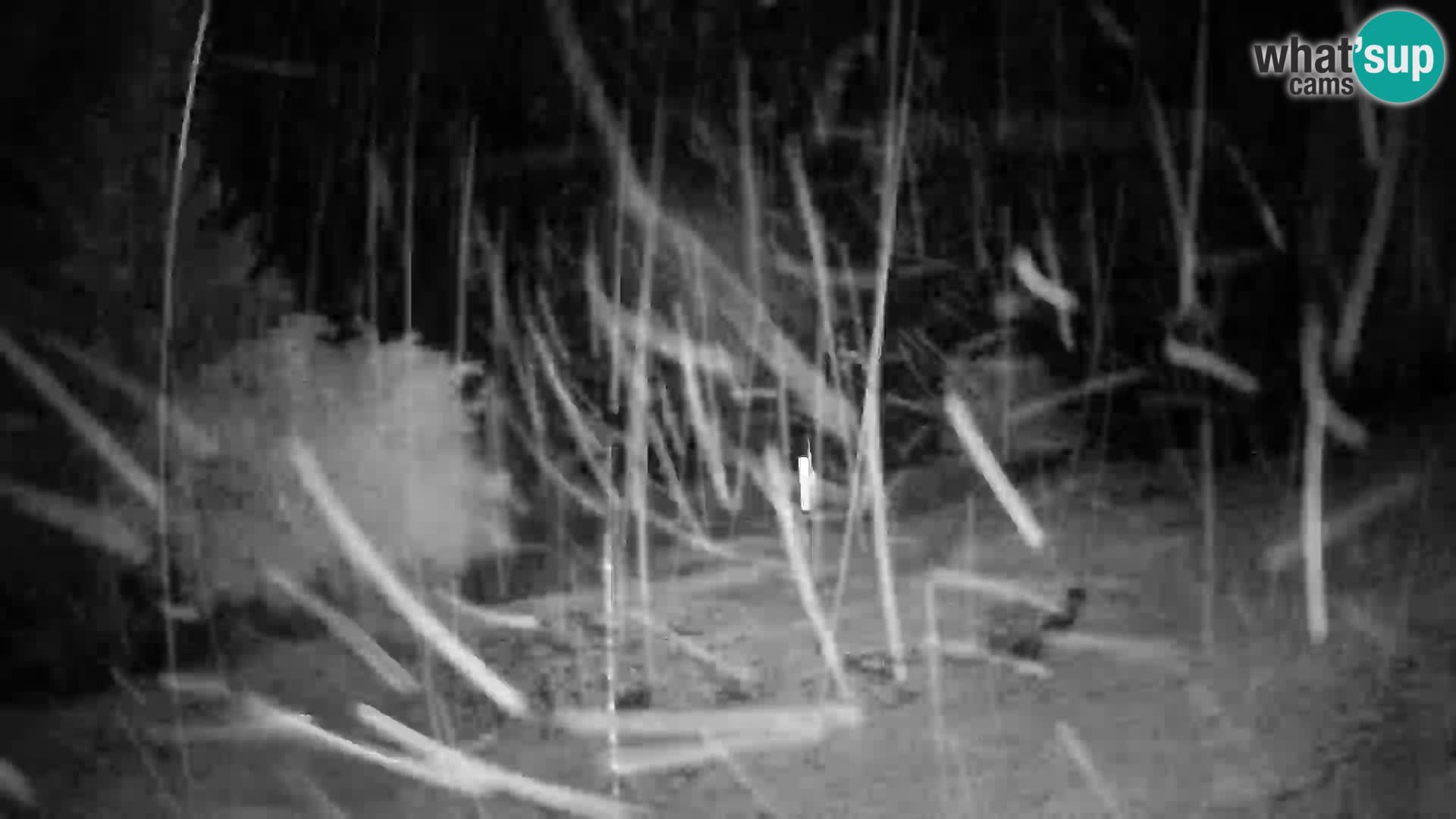 Webcam Slajka | Gorenja vas | Slovenia