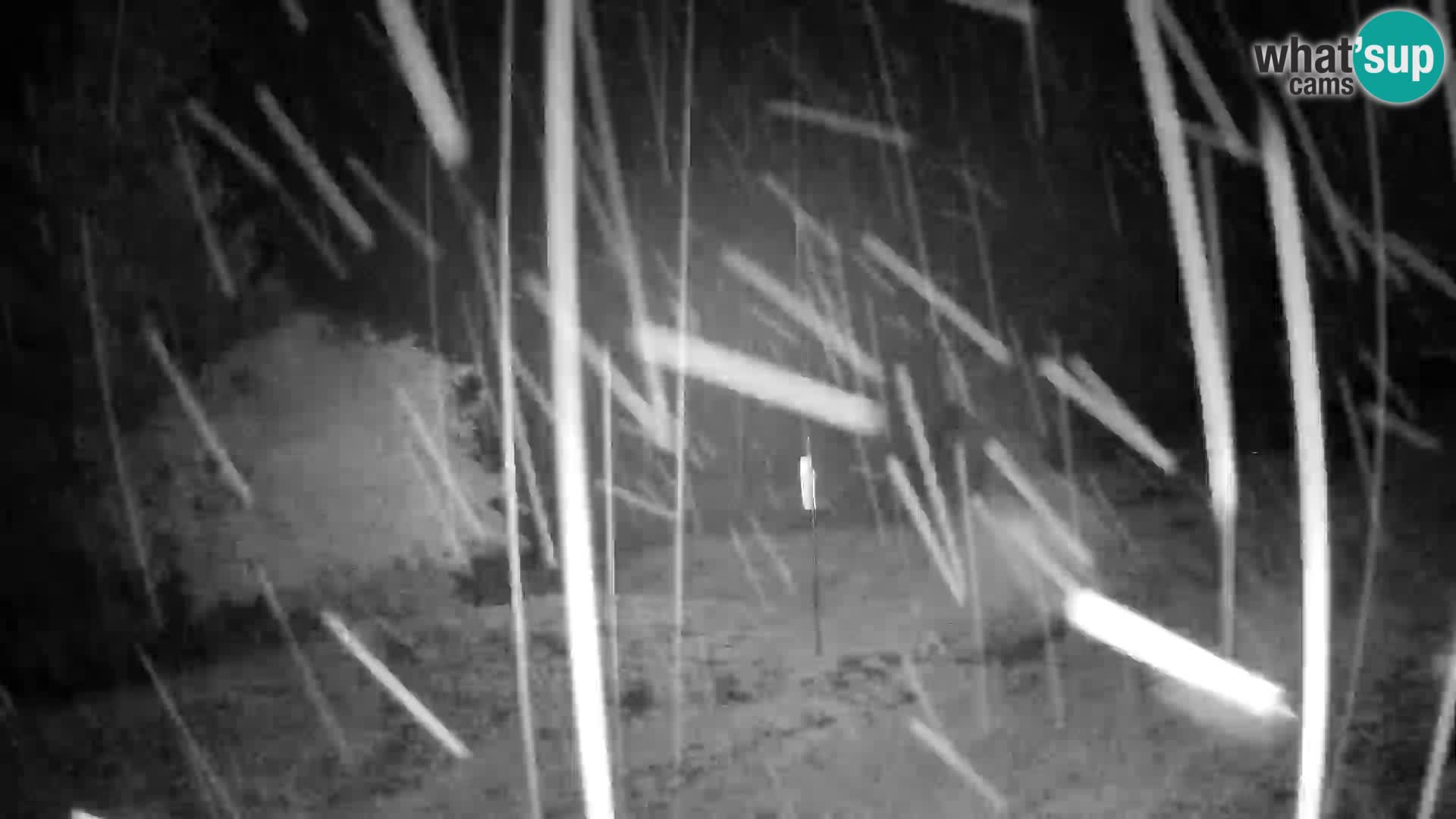 Webcam Slajka | Gorenja vas | Slovenia