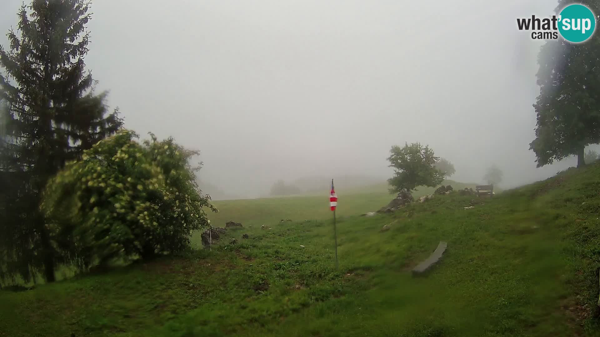 Slajka livecam | Gorenja Vas | Slovénie