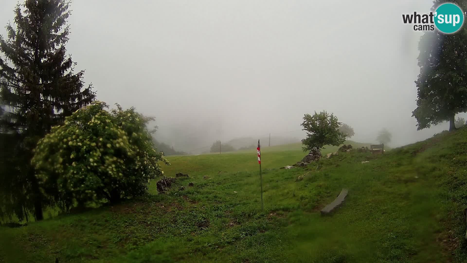 Slajka livecam | Gorenja Vas | Slovénie