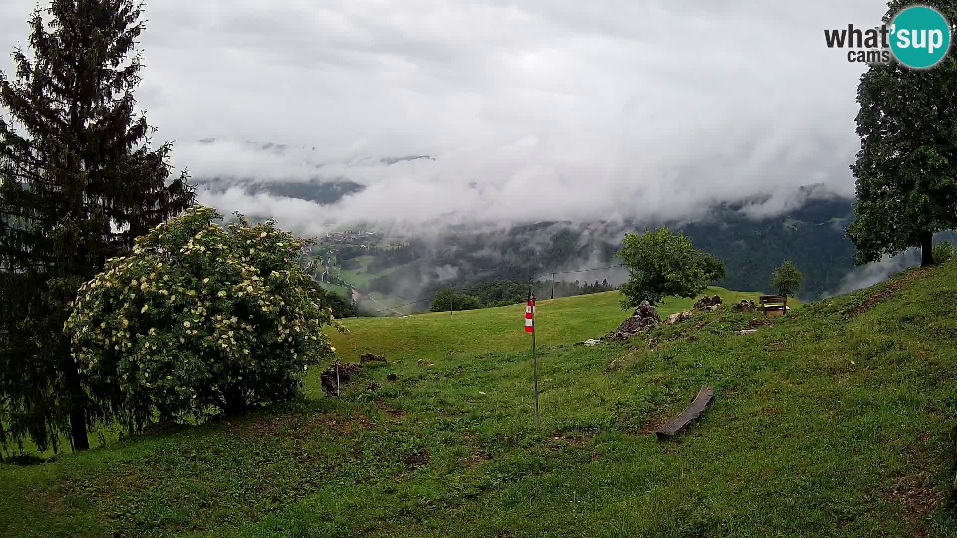 Slajka camera en vivo | Gorenja Vas | Eslovenia