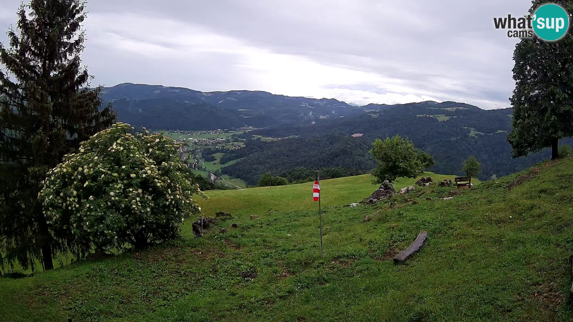 Slajka livecam | Gorenja Vas | Slovénie