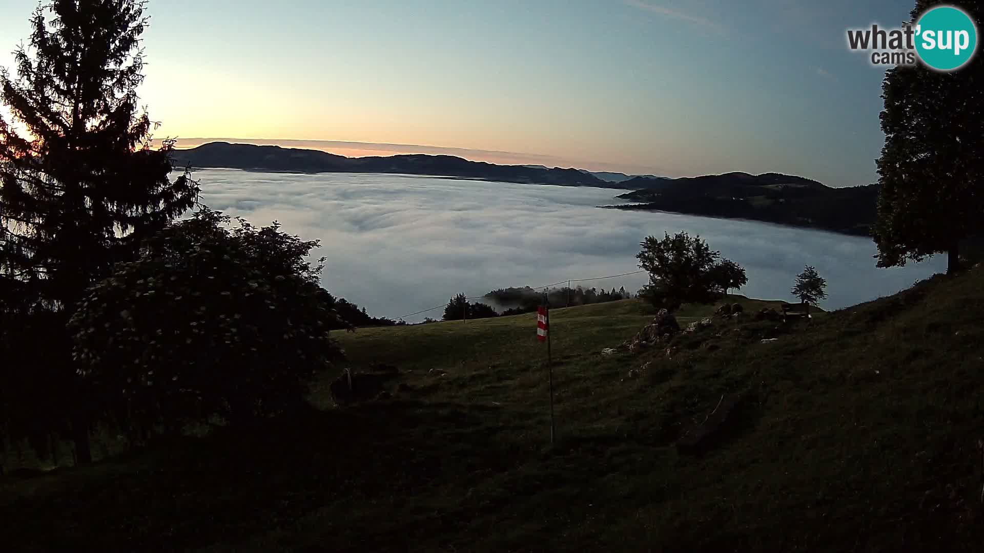 Slajka livecam | Gorenja Vas | Slovénie