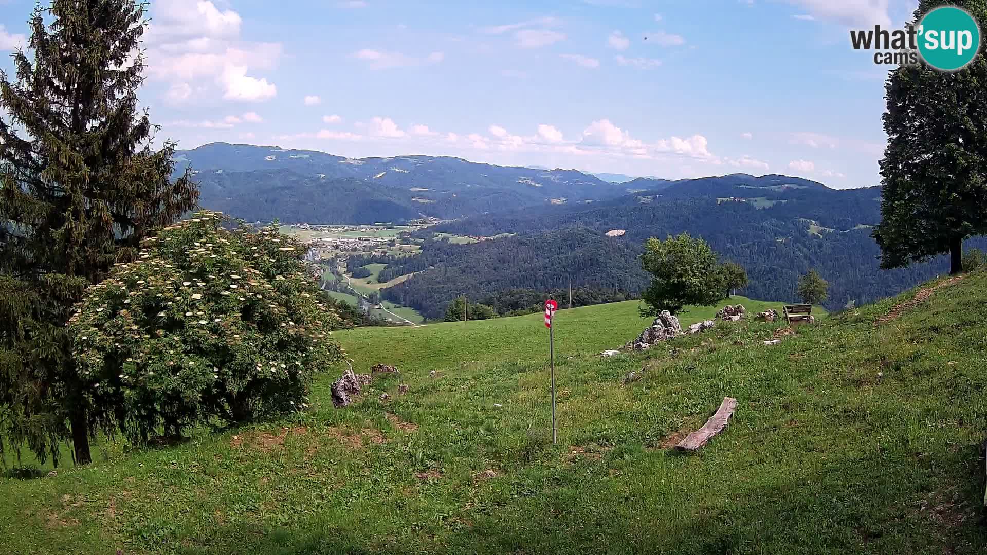 Slajka camera en vivo | Gorenja Vas | Eslovenia