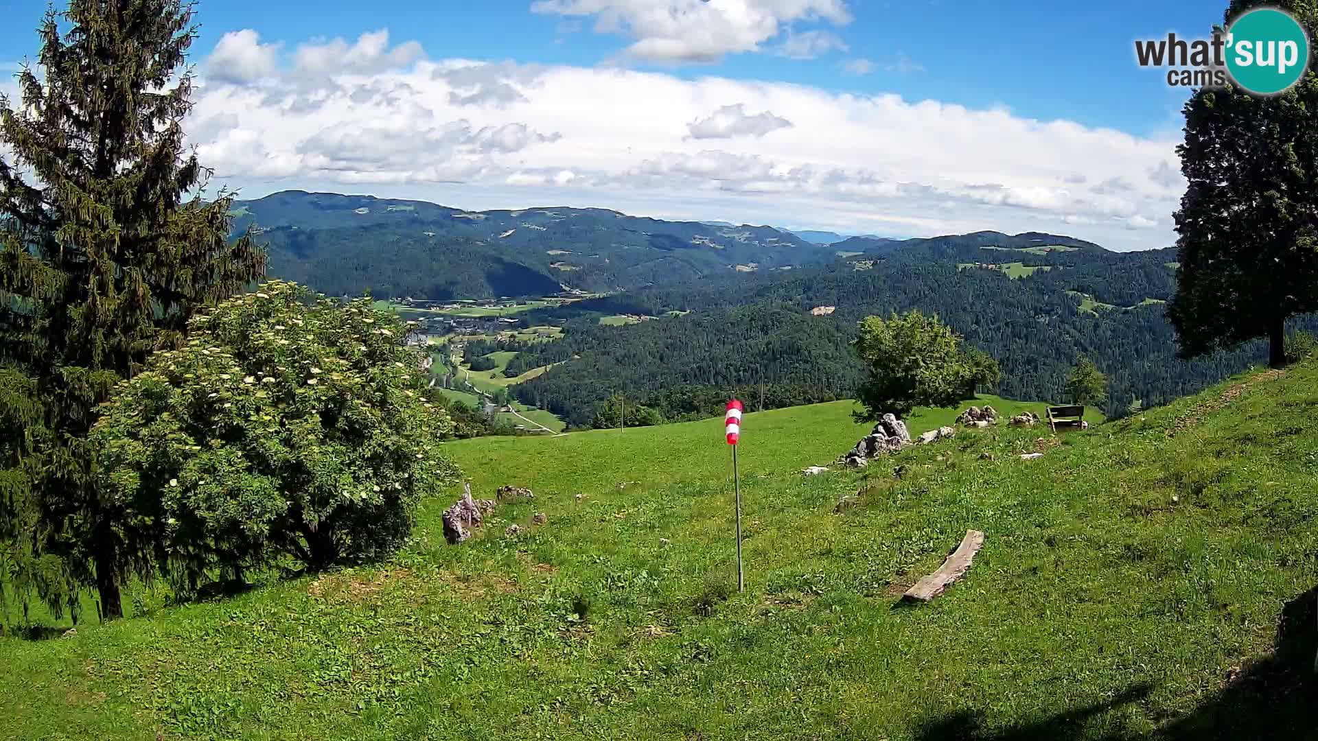 Slajka camera en vivo | Gorenja Vas | Eslovenia