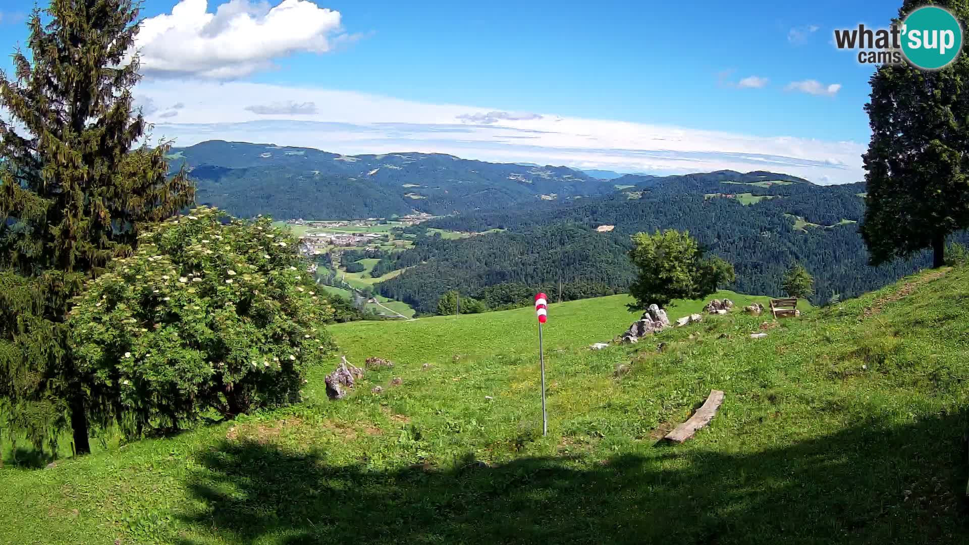 Slajka camera en vivo | Gorenja Vas | Eslovenia