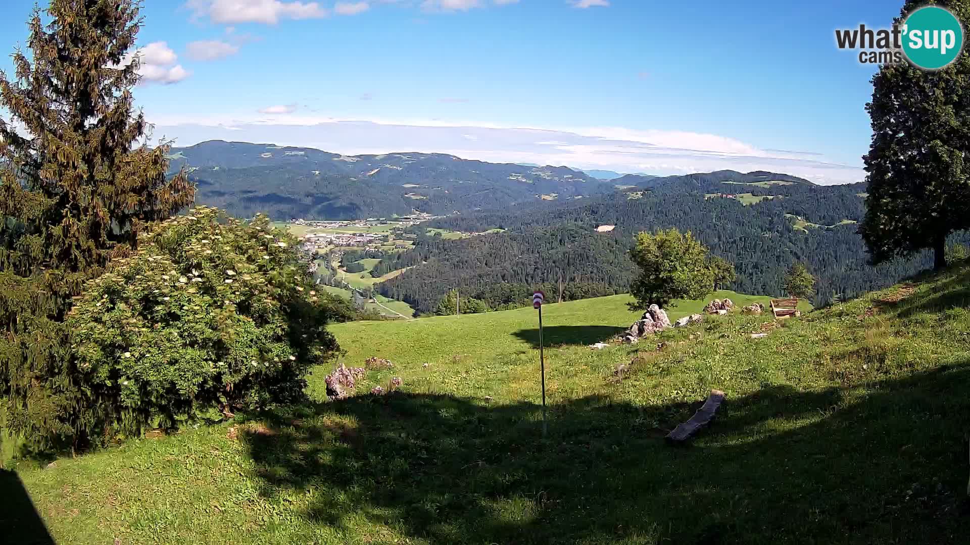 Slajka livecam | Gorenja Vas | Slovénie