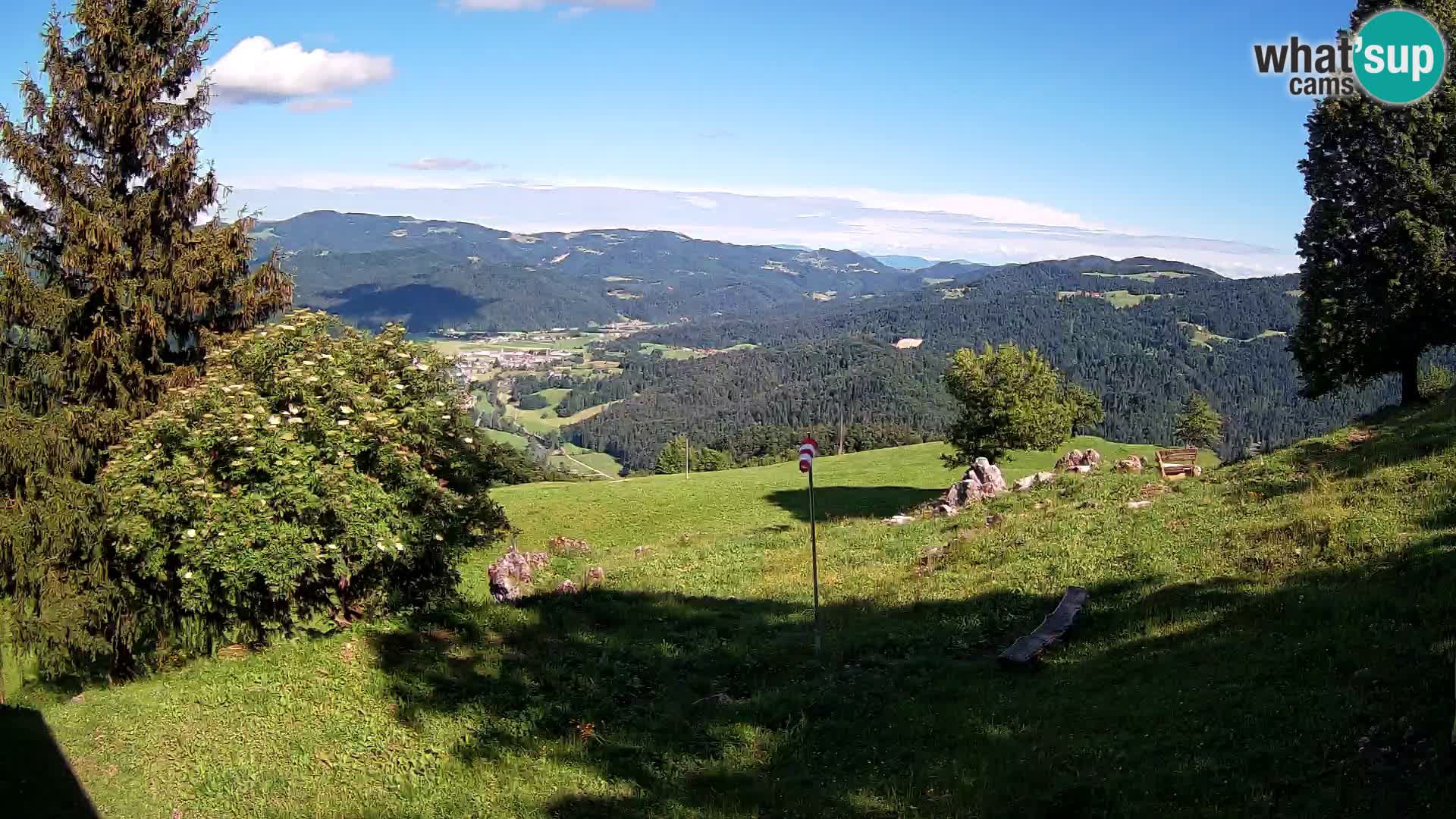 Slajka camera en vivo | Gorenja Vas | Eslovenia