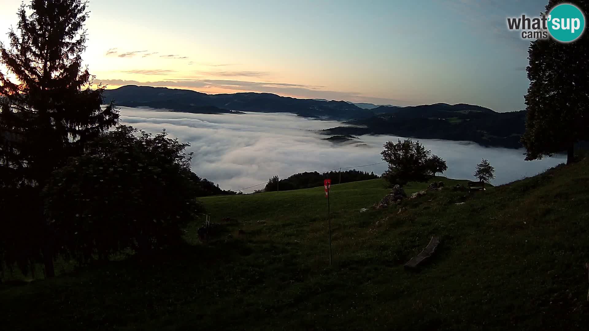 Slajka webam | Gorenja vas | Slovenia