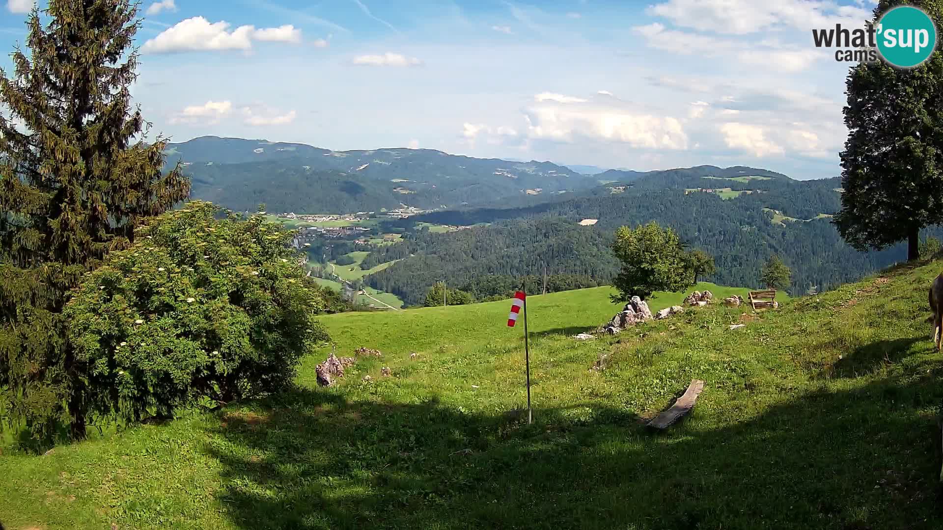 Slajka livecam | Gorenja Vas | Slovénie