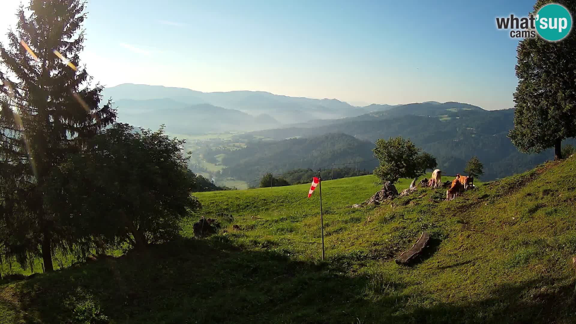 Slajka livecam | Gorenja Vas | Slovénie