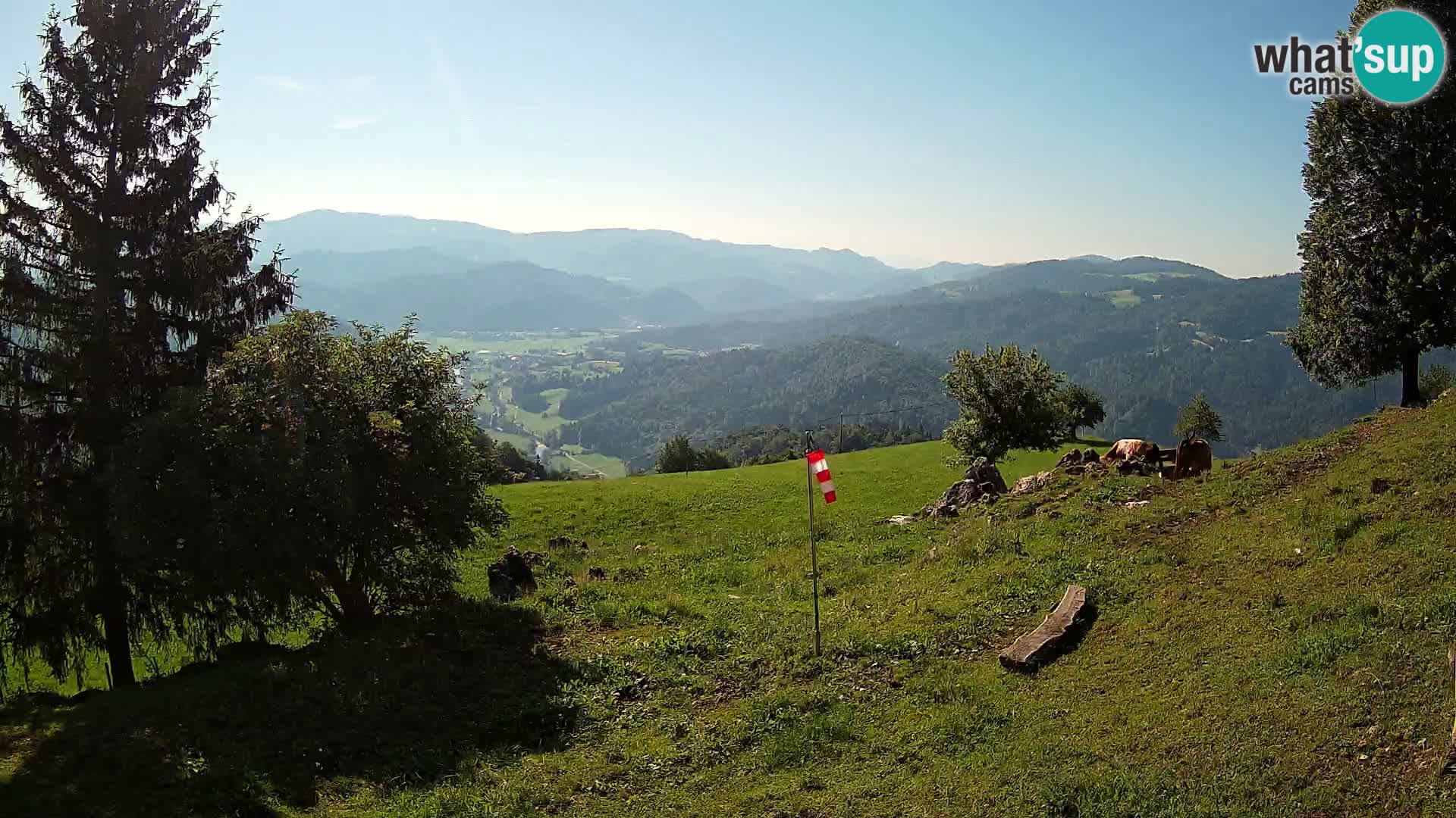Slajka webam | Gorenja vas | Slovenia