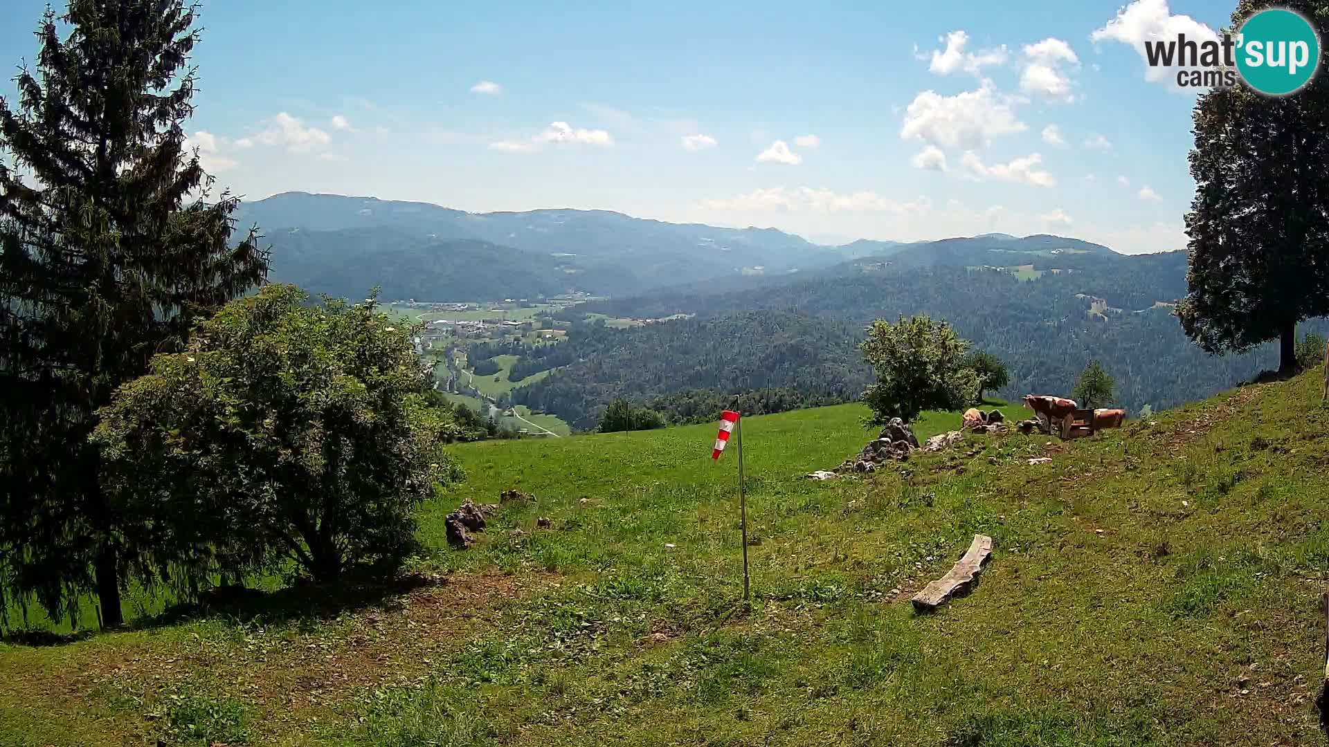 Slajka livecam | Gorenja Vas | Slovénie