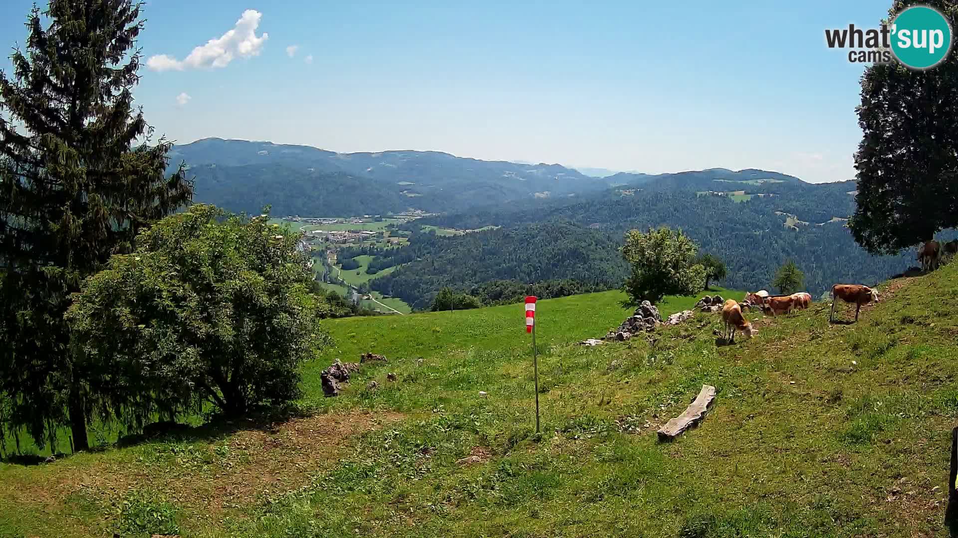 Slajka webcam | Gorenja Vas | Slowenien