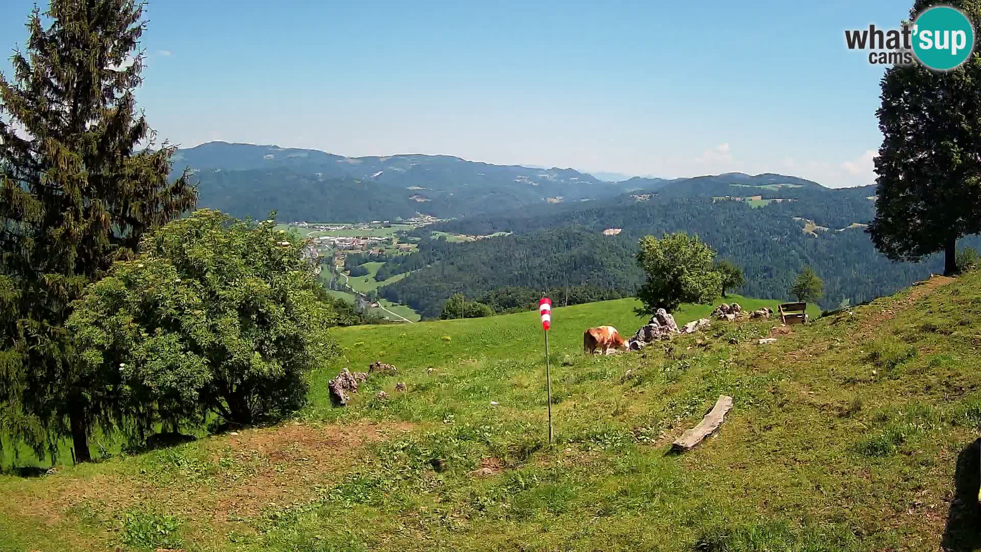Slajka webam | Gorenja vas | Slovenia