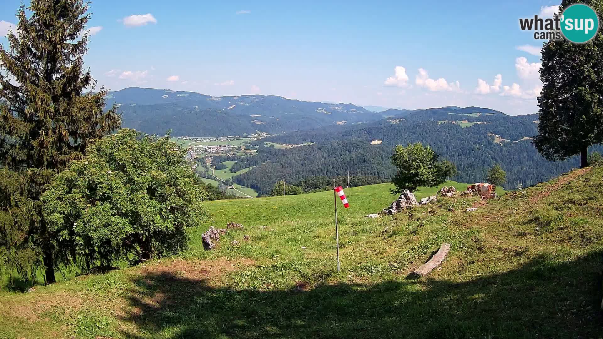 Slajka webcam | Gorenja Vas | Slowenien