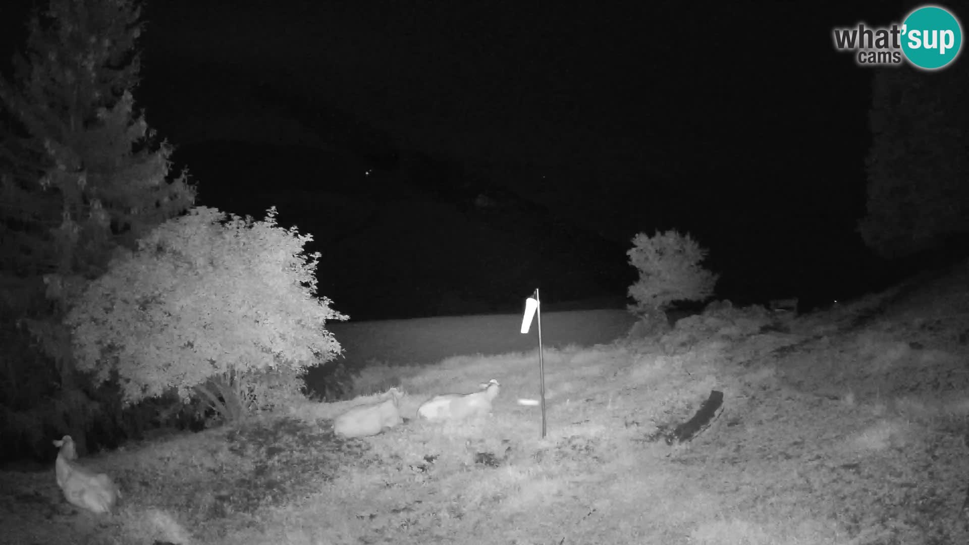 Slajka webcam | Gorenja Vas | Slowenien