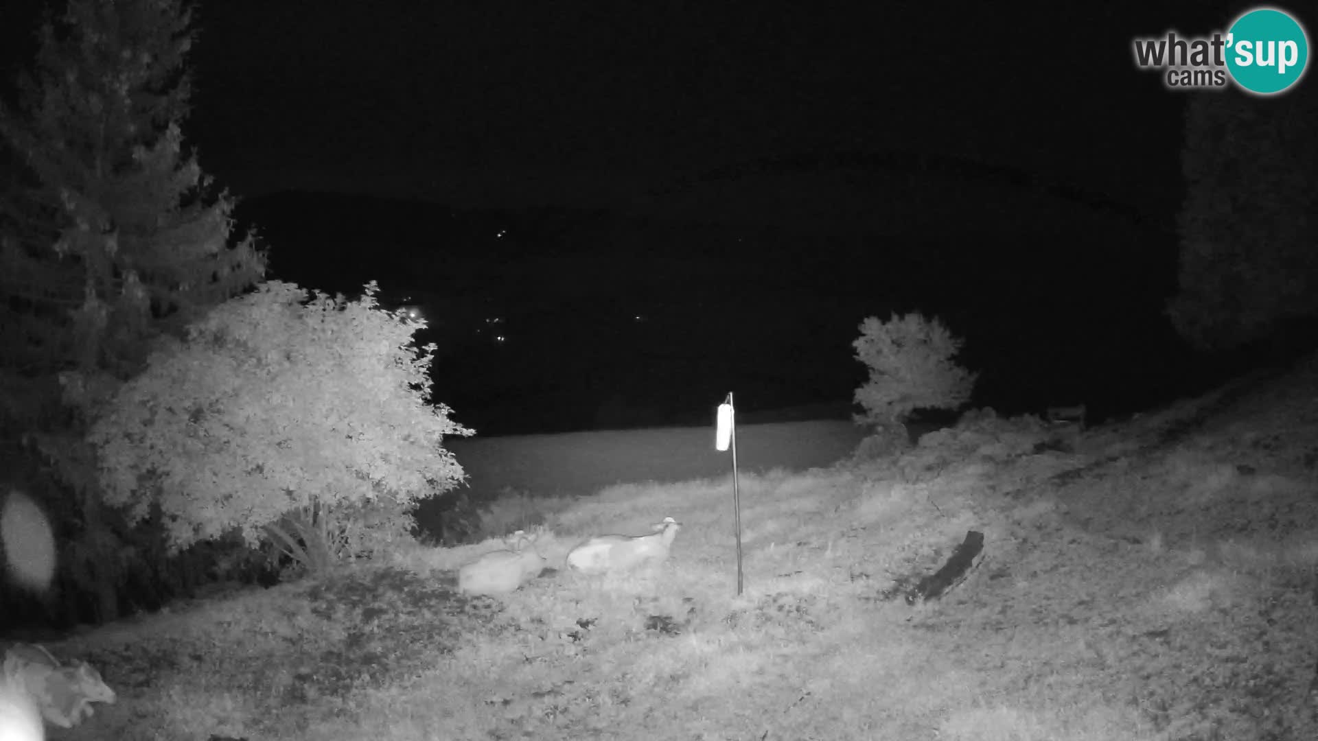 Slajka webam | Gorenja vas | Slovenia