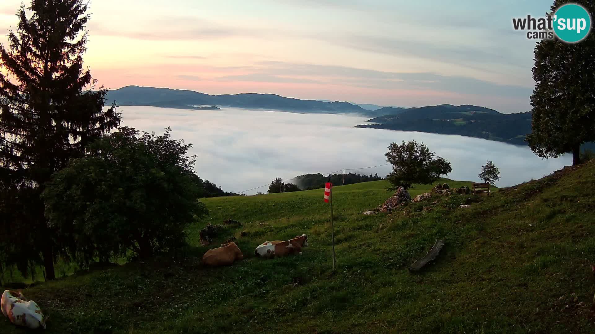 Slajka webam | Gorenja vas | Slovenia