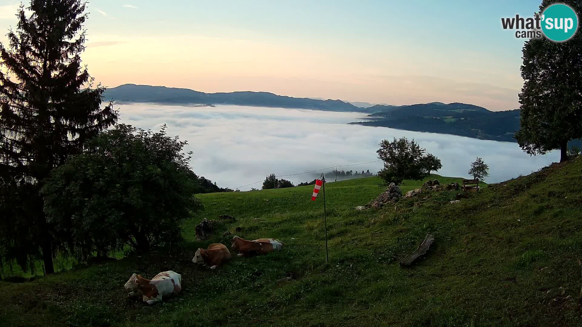 Slajka webam | Gorenja vas | Slovenia