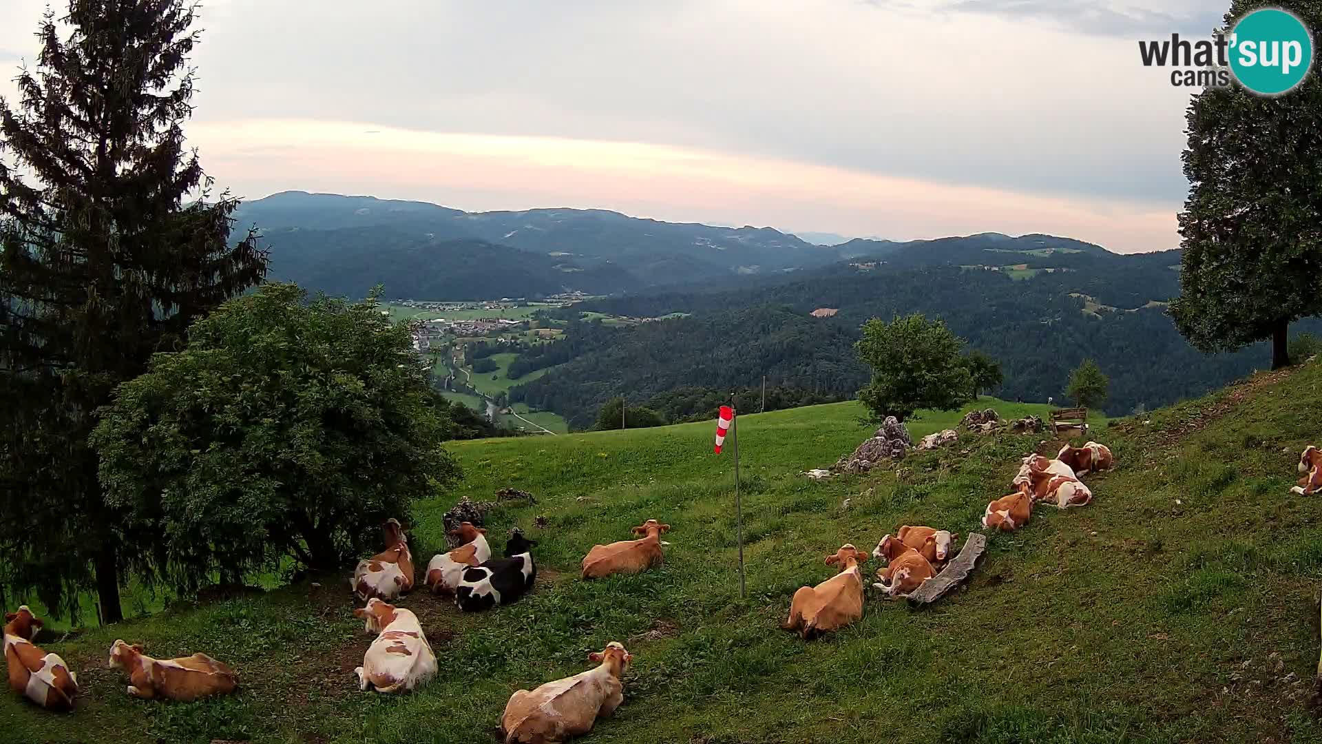Slajka webam | Gorenja vas | Slovenia