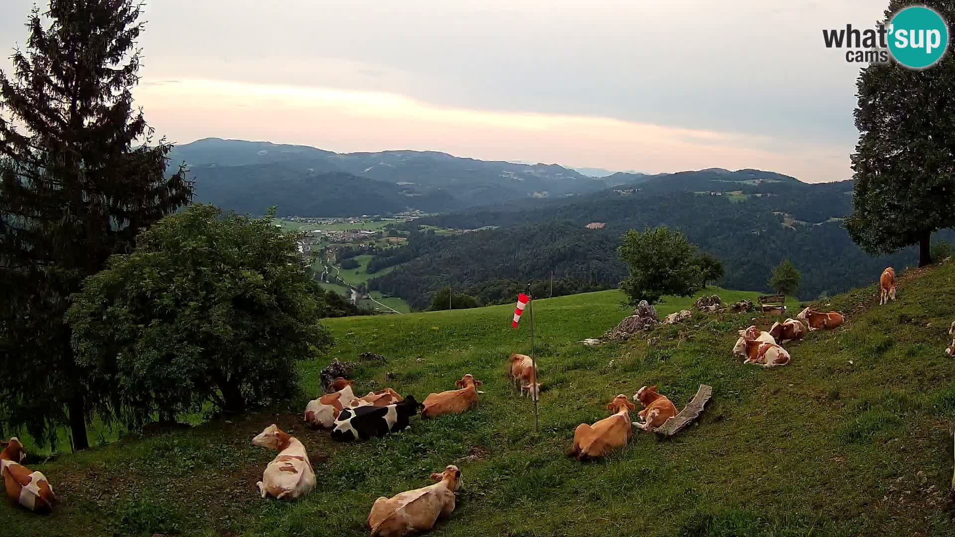 Slajka webam | Gorenja vas | Slovenia