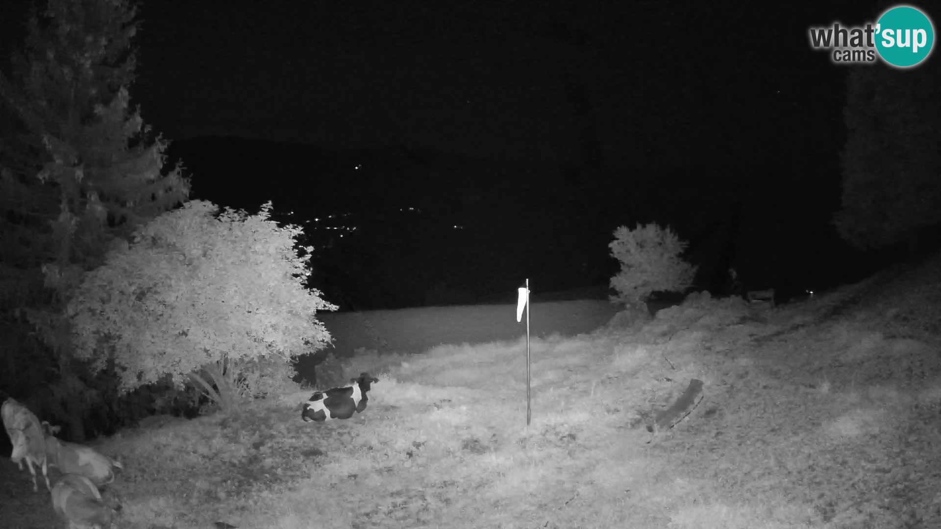 Slajka livecam | Gorenja Vas | Slovénie