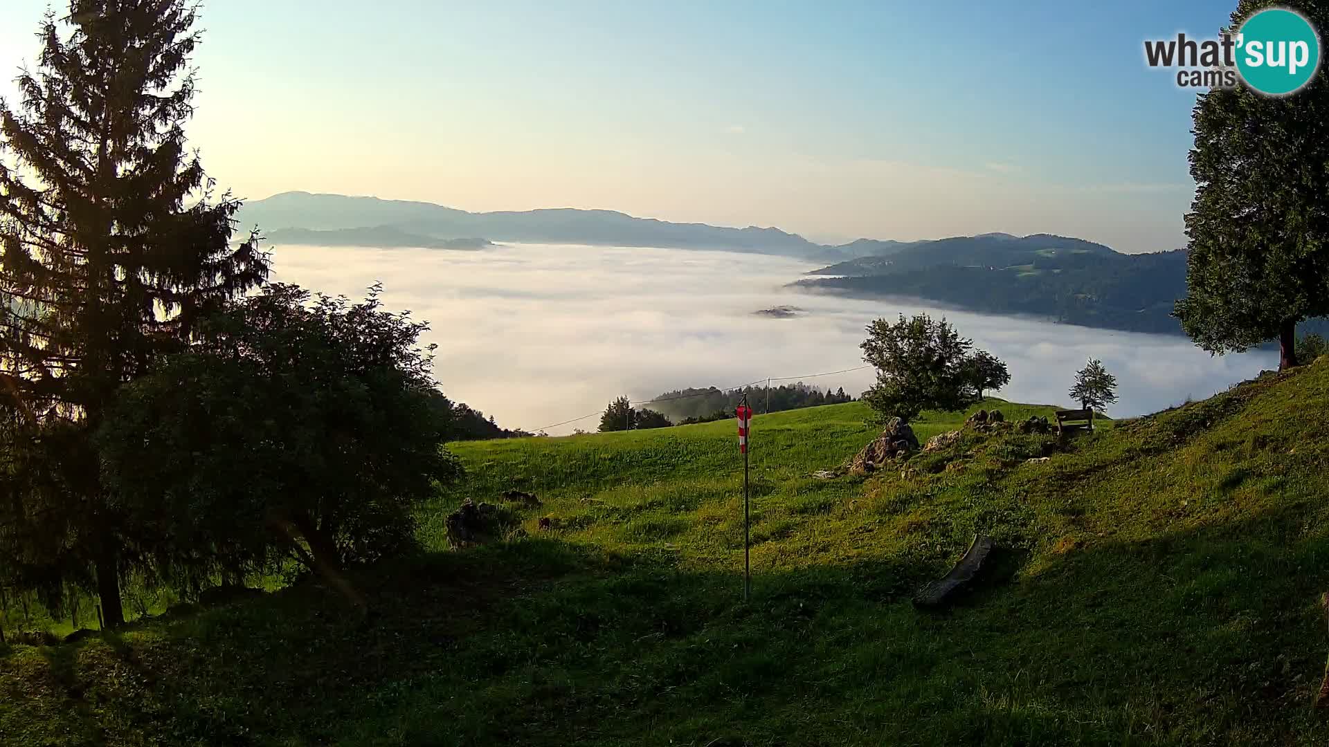 Slajka camera en vivo | Gorenja Vas | Eslovenia