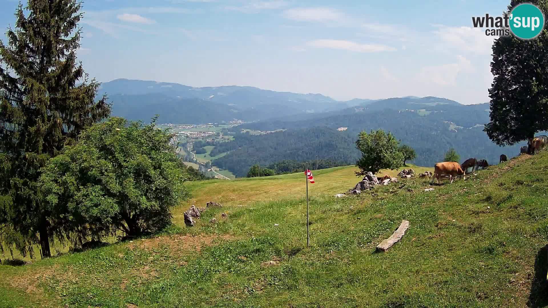 Slajka livecam | Gorenja Vas | Slovénie