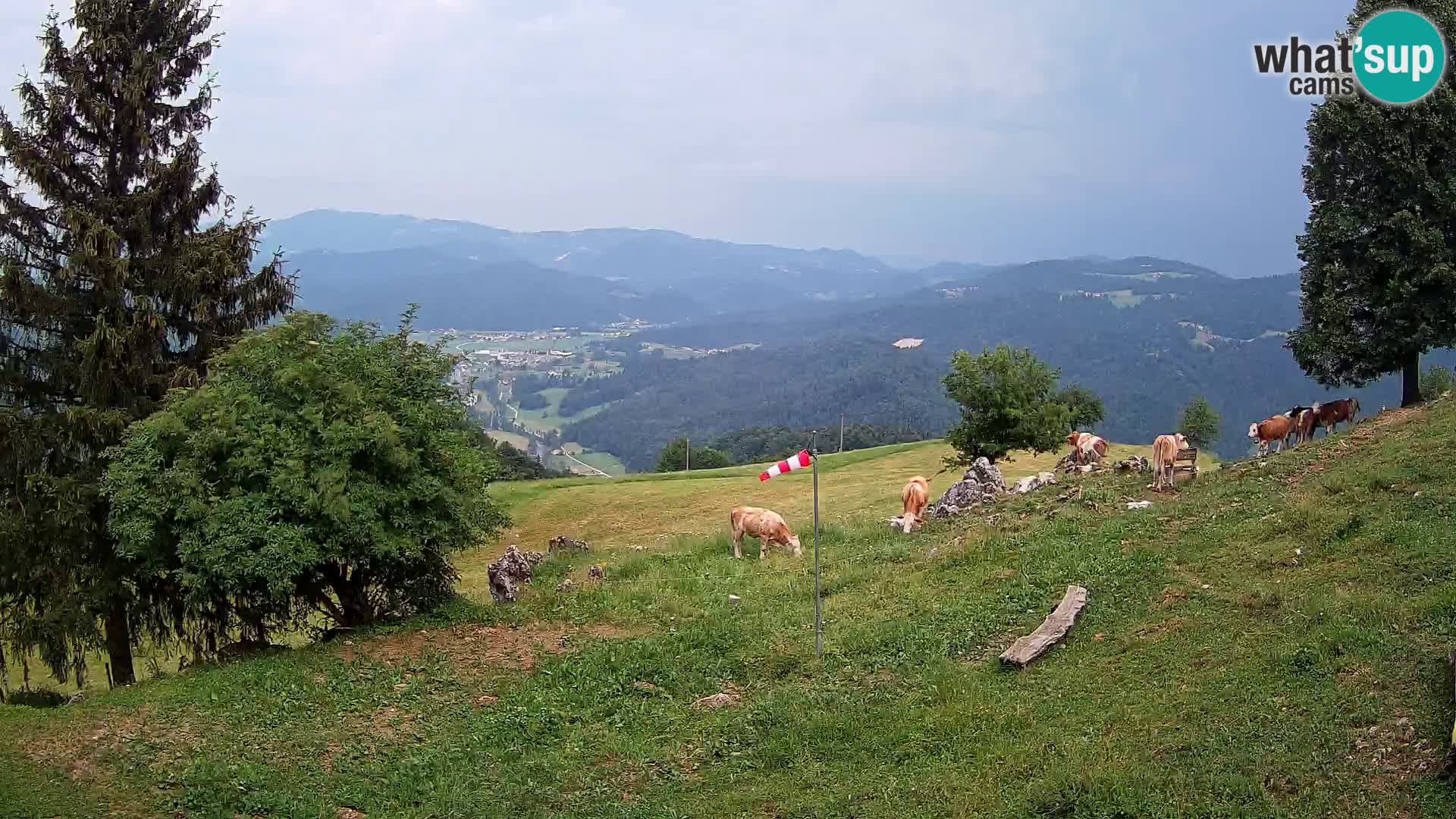 Slajka camera en vivo | Gorenja Vas | Eslovenia