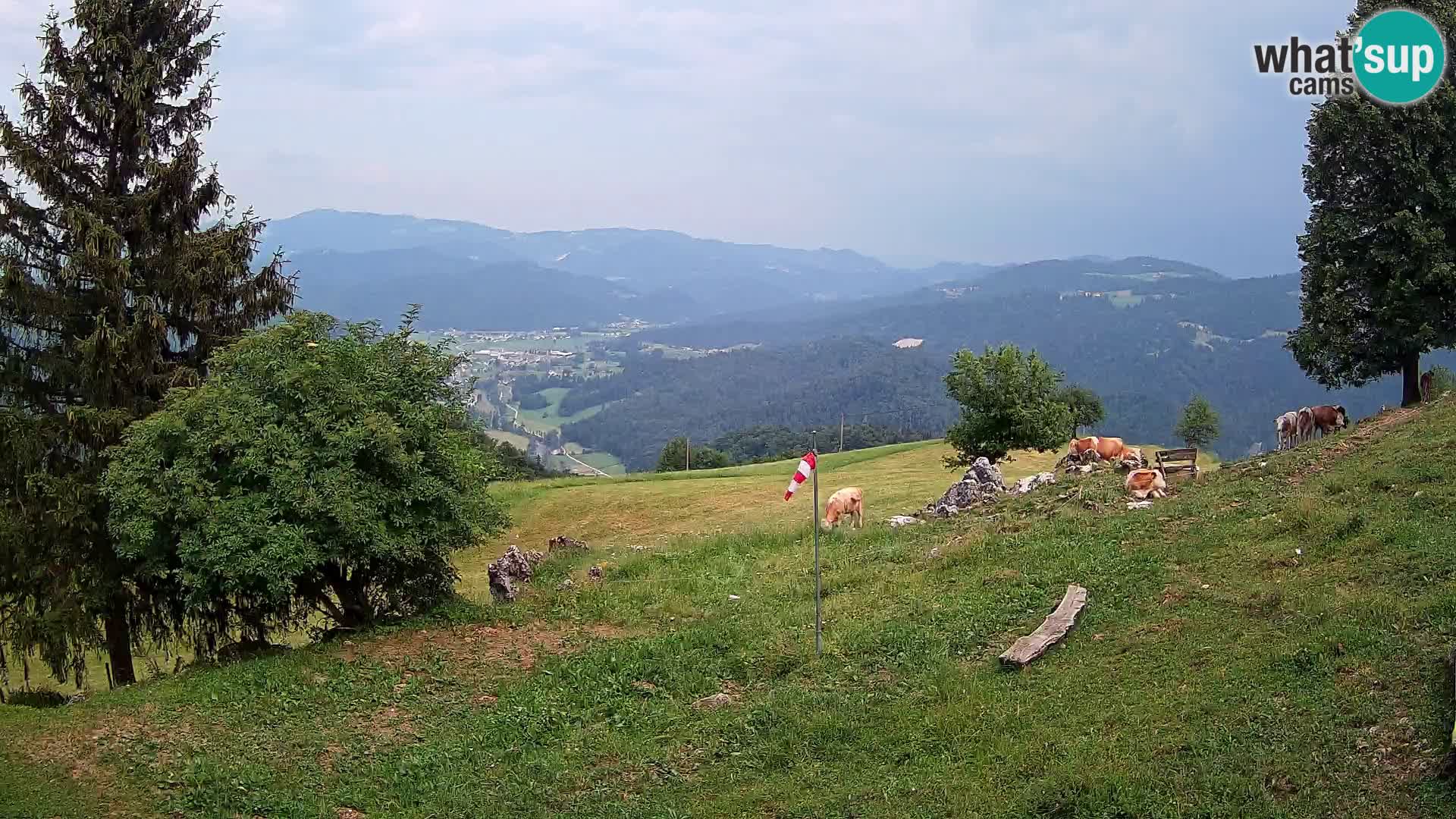 Slajka webam | Gorenja vas | Slovenia