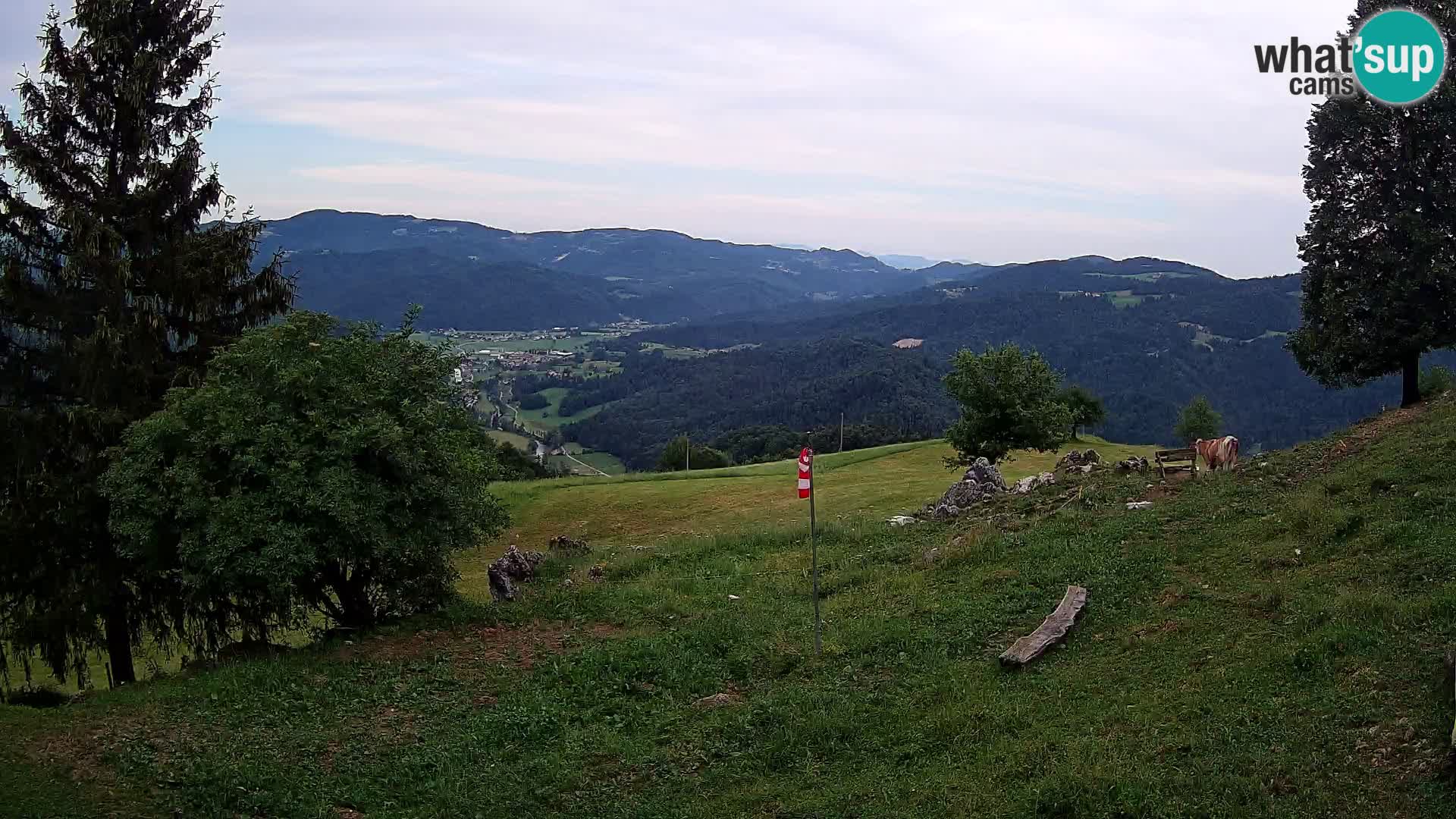 Slajka webcam | Gorenja Vas | Slowenien