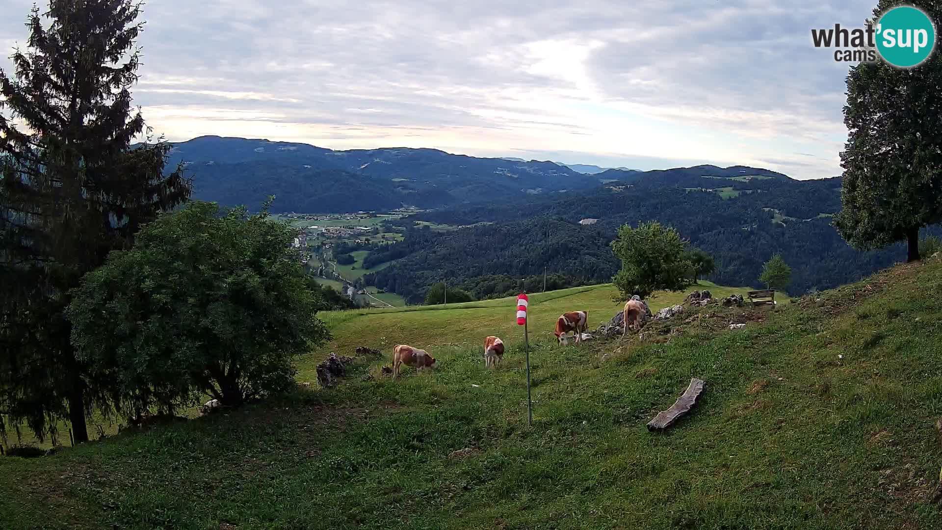 Slajka webcam | Gorenja Vas | Slowenien