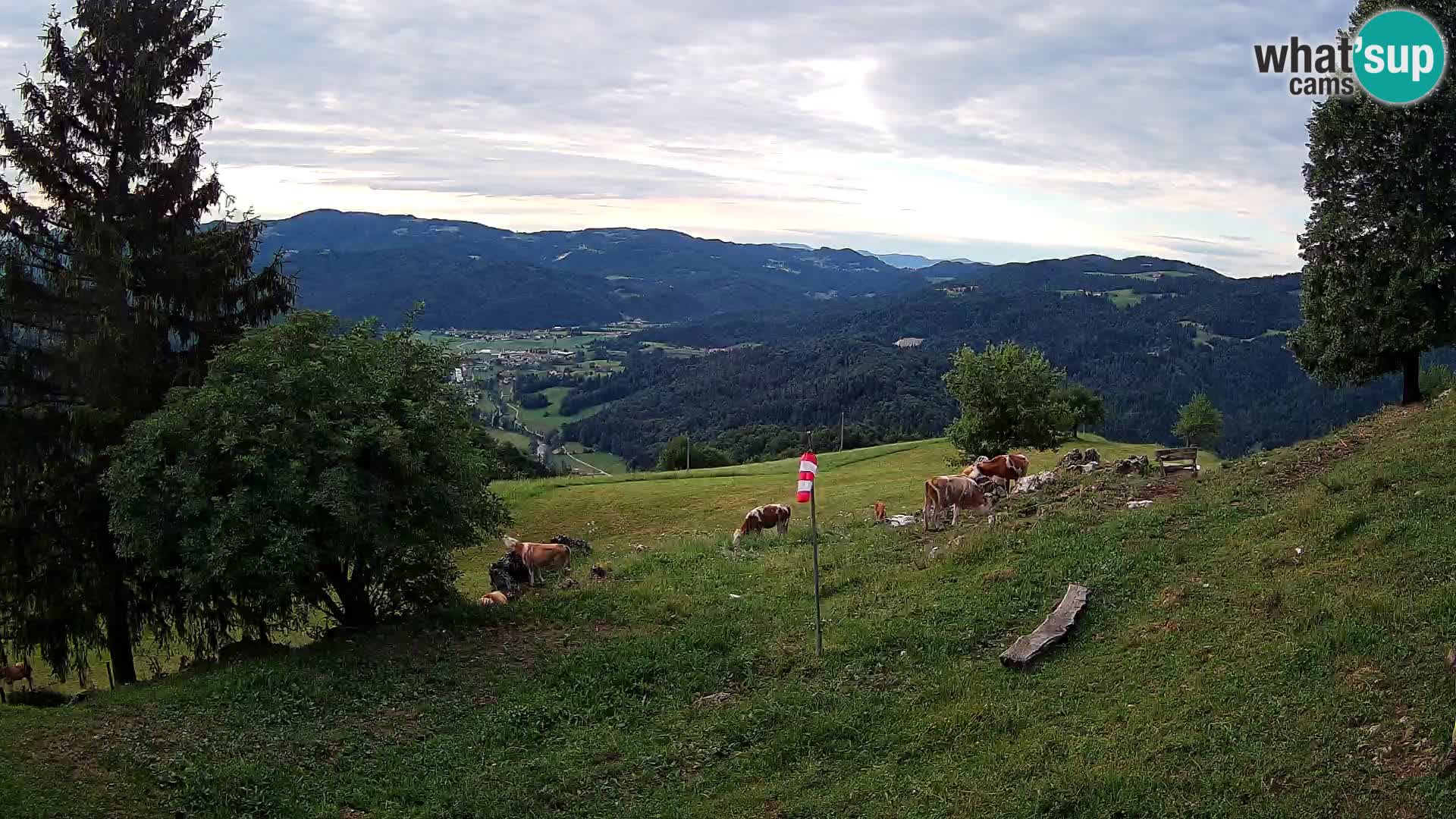 Slajka livecam | Gorenja Vas | Slovénie