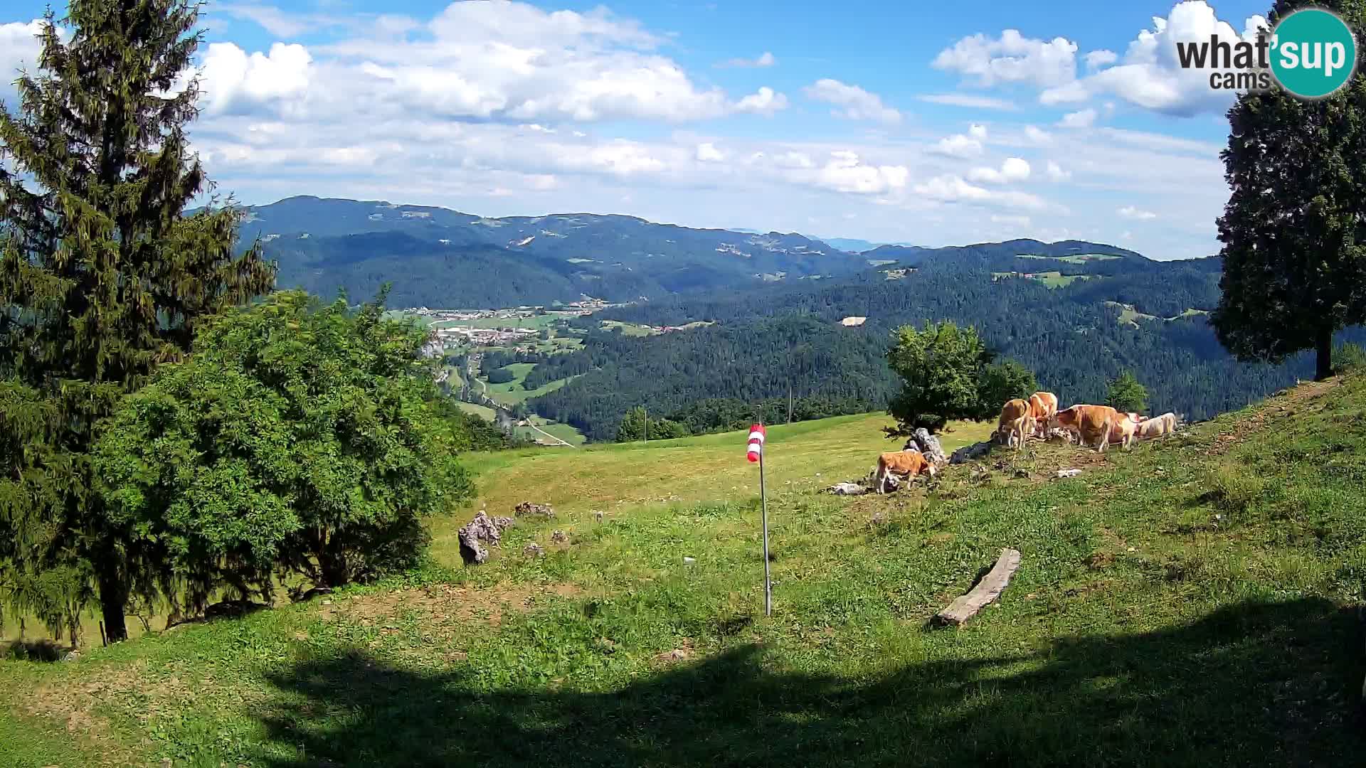 Slajka web kamera | Gorenja Vas | Slovenija