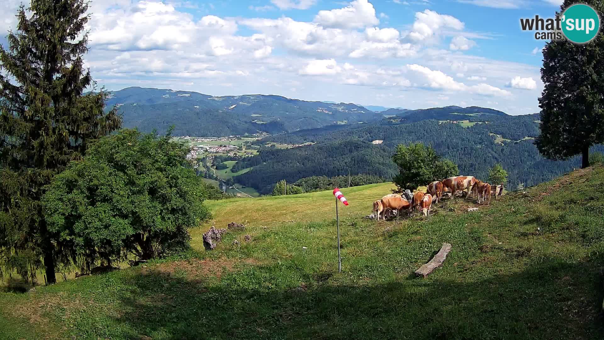 Slajka web kamera | Gorenja Vas | Slovenija