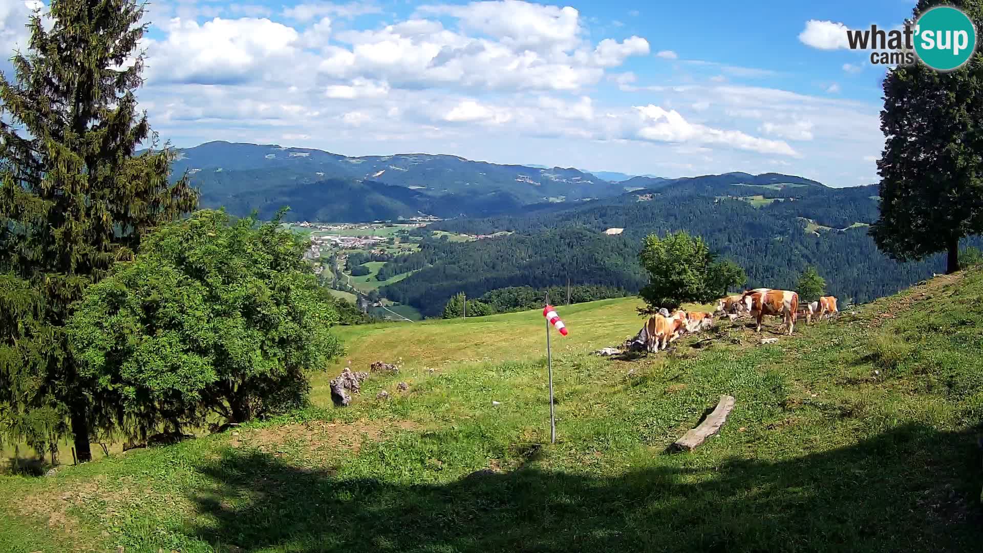 Slajka web kamera | Gorenja Vas | Slovenija
