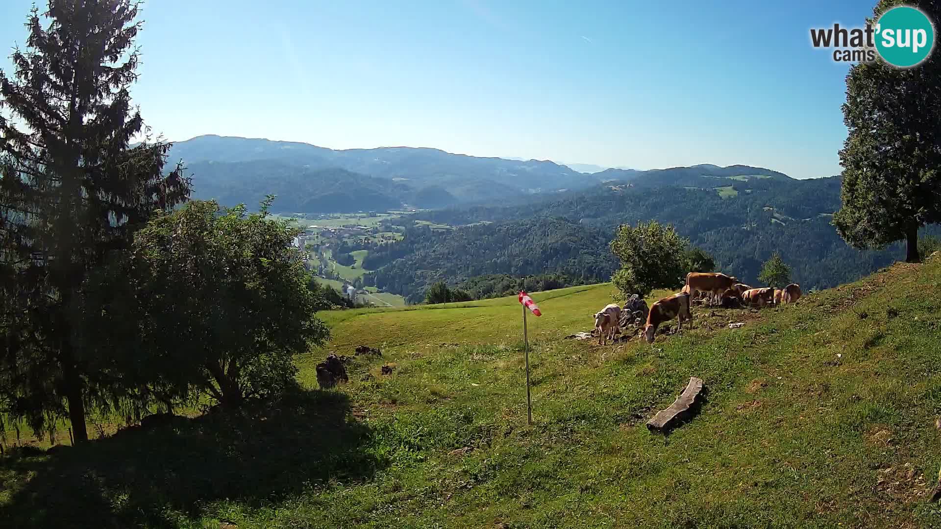 Slajka webcam | Gorenja Vas | Slowenien