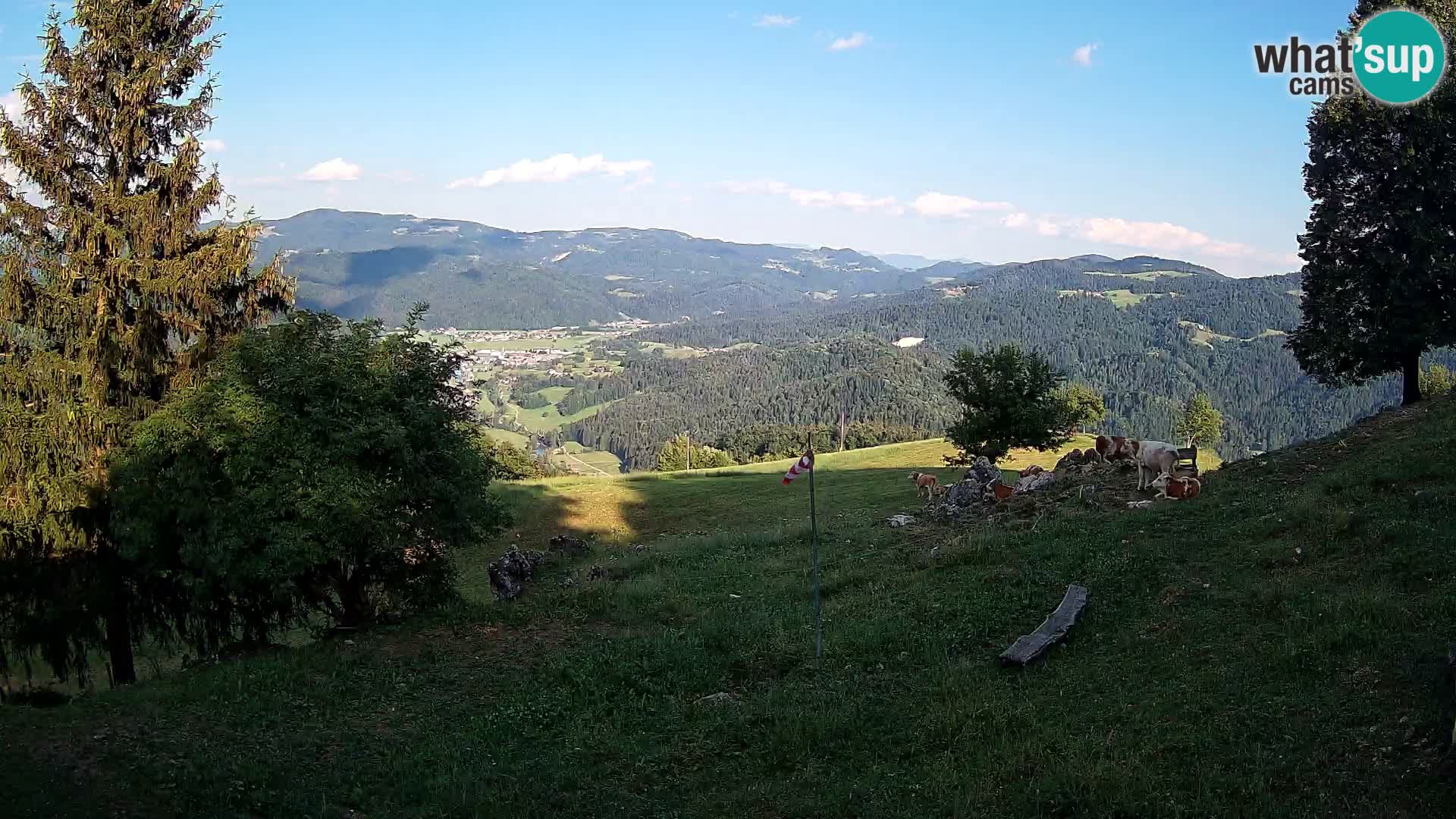 Slajka camera en vivo | Gorenja Vas | Eslovenia